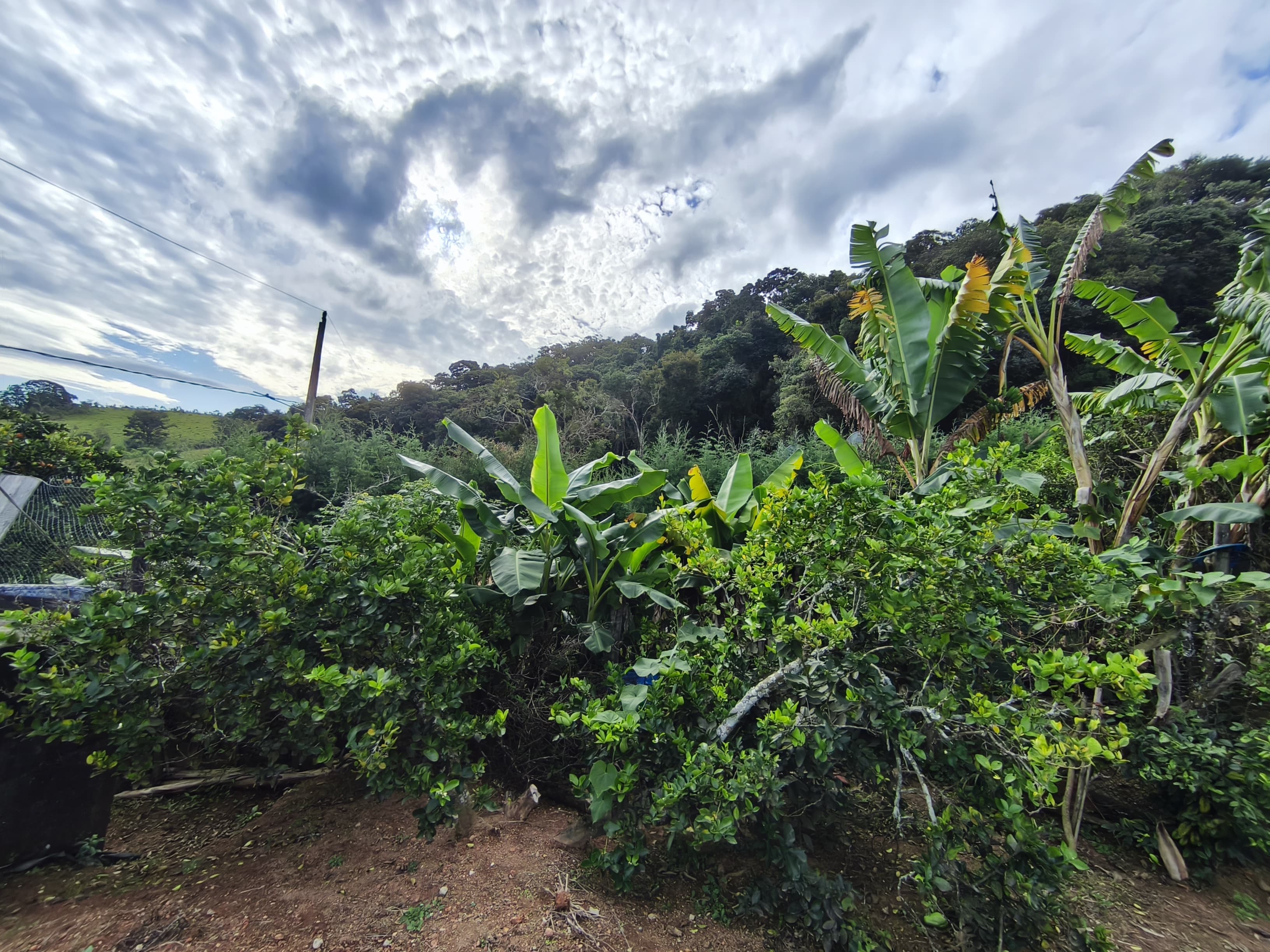 🌿 CHÁCARA À VENDA EM TOLEDO – MG 🌿📍 Bairro Fazenda 📐 2.275 m²