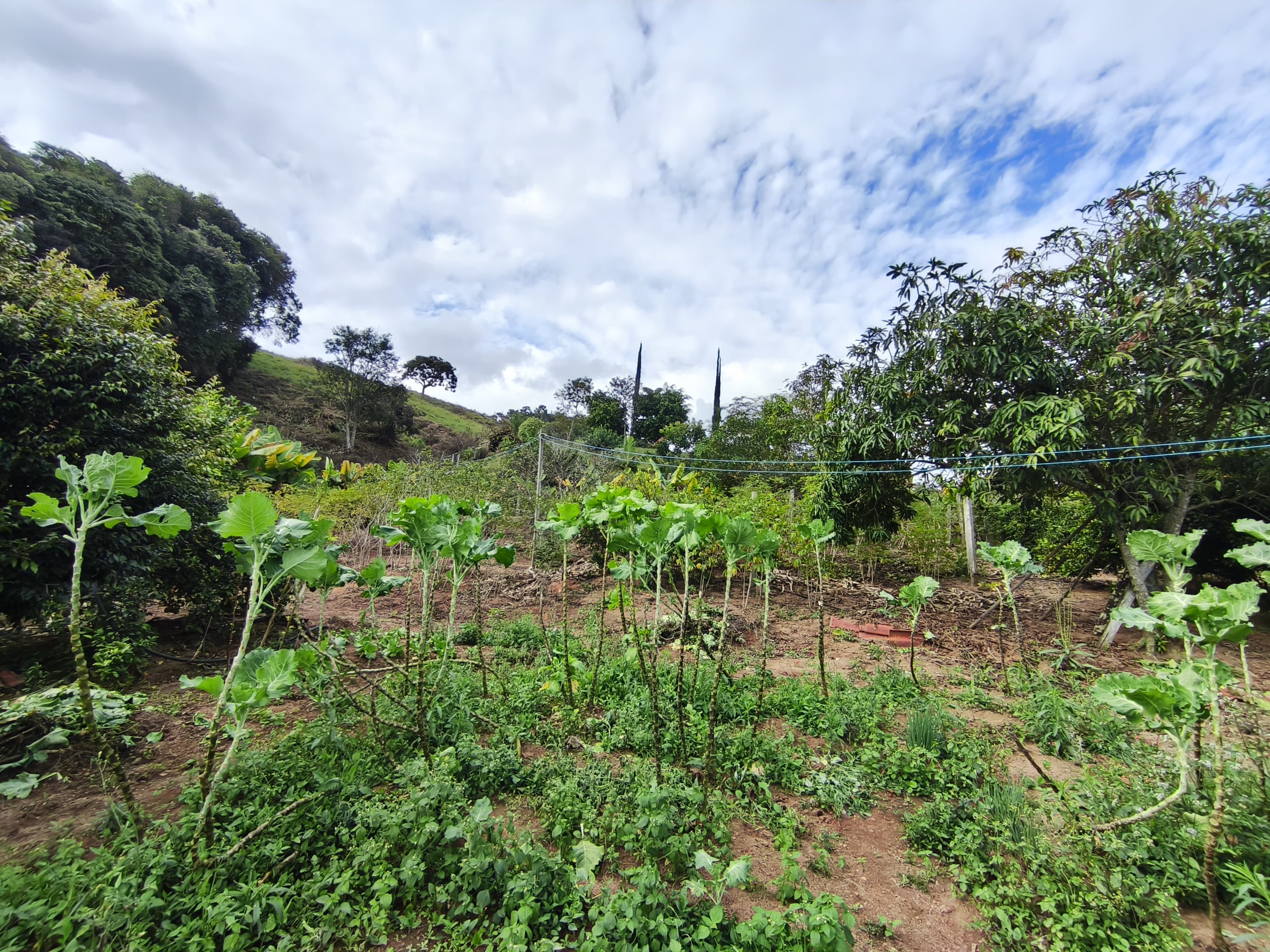 🌿 CHÁCARA À VENDA EM TOLEDO – MG 🌿📍 Bairro Fazenda 📐 2.275 m²