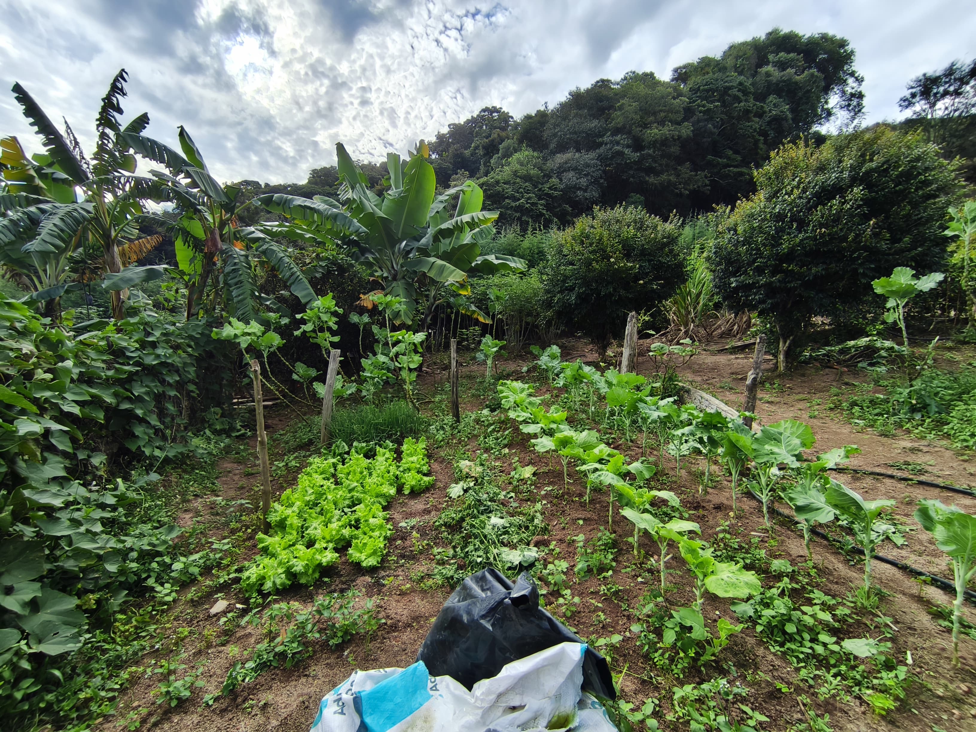 🌿 CHÁCARA À VENDA EM TOLEDO – MG 🌿📍 Bairro Fazenda 📐 2.275 m²