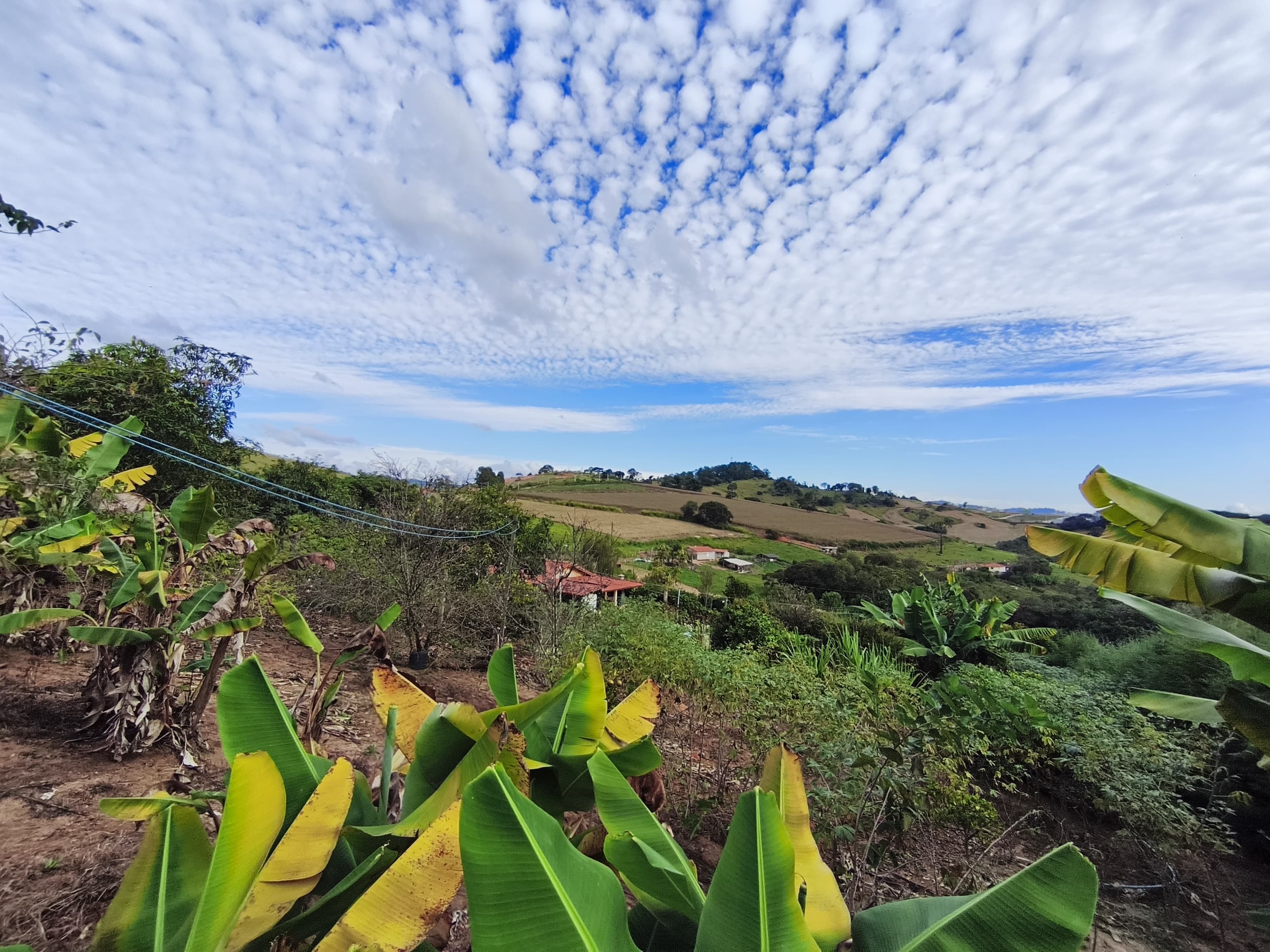 🌿 CHÁCARA À VENDA EM TOLEDO – MG 🌿📍 Bairro Fazenda 📐 2.275 m²