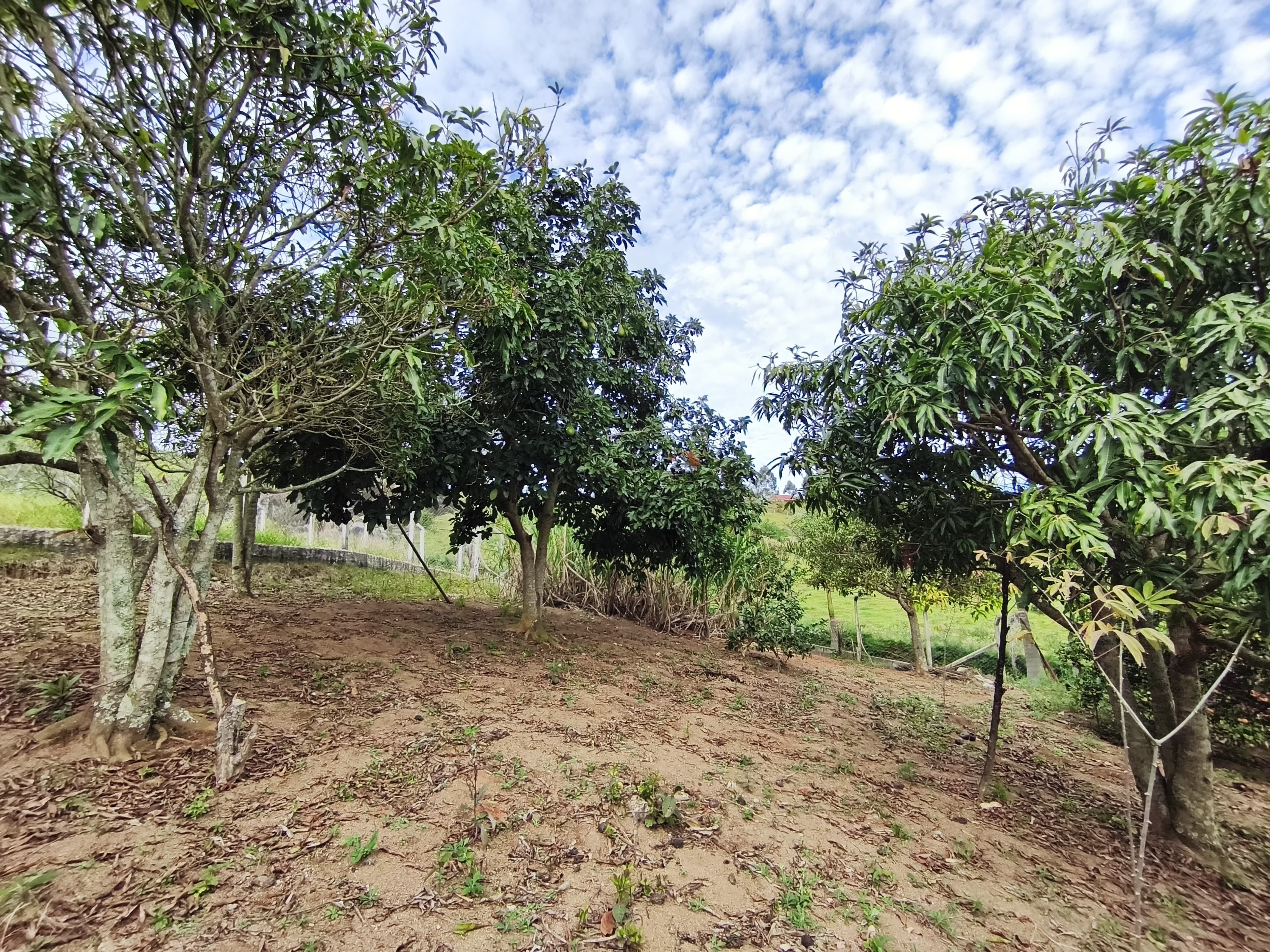 🌿 CHÁCARA À VENDA EM TOLEDO – MG 🌿📍 Bairro Fazenda 📐 2.275 m²