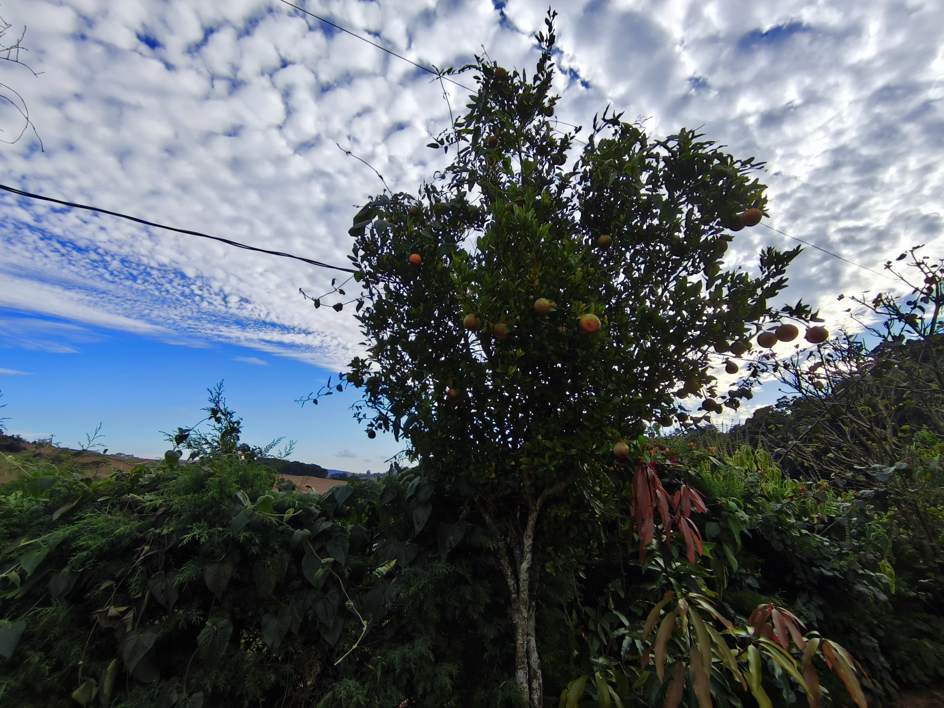 🌿 CHÁCARA À VENDA EM TOLEDO – MG 🌿📍 Bairro Fazenda 📐 2.275 m²
