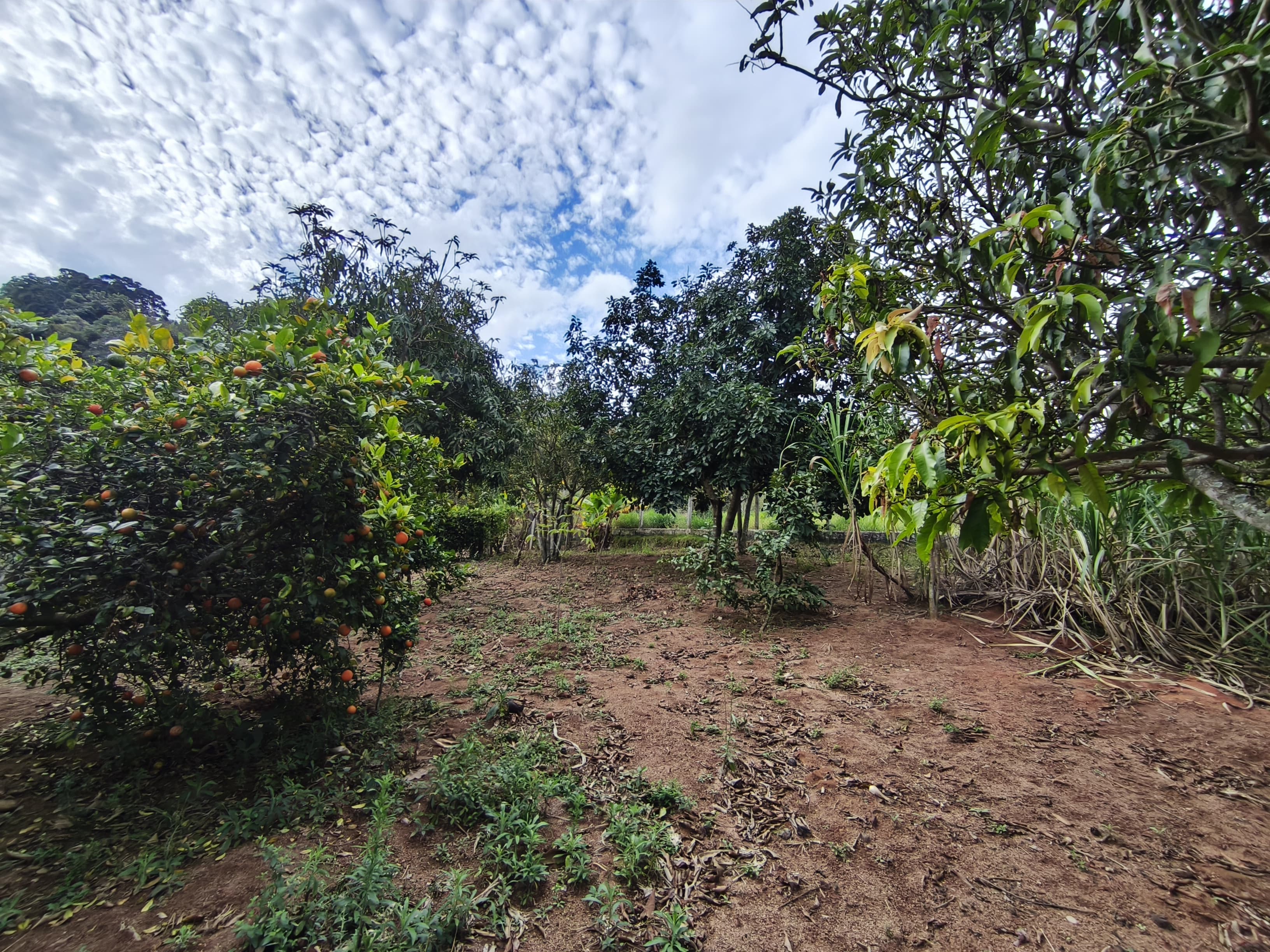 🌿 CHÁCARA À VENDA EM TOLEDO – MG 🌿📍 Bairro Fazenda 📐 2.275 m²