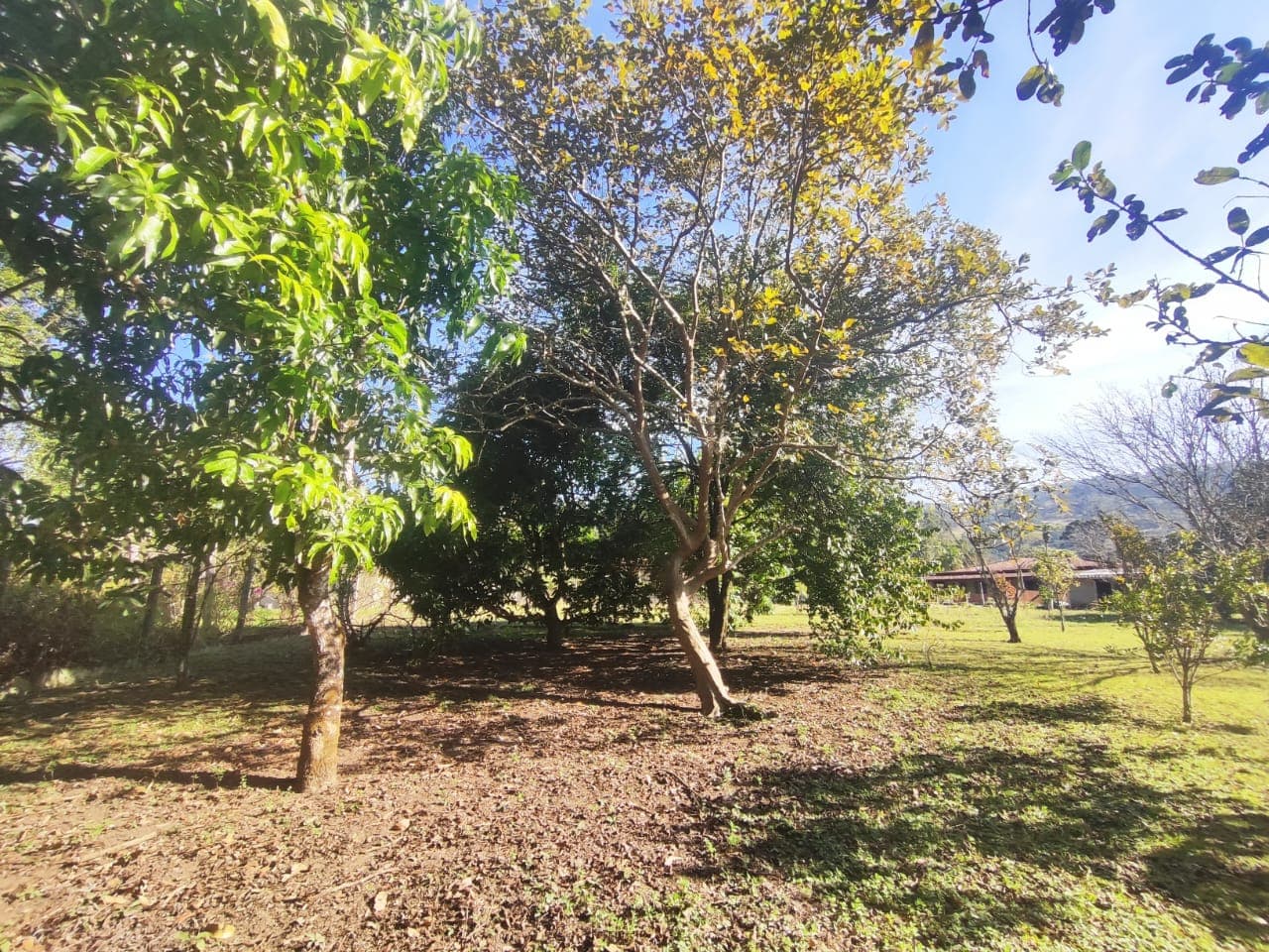 ✨ CHÁCARA EXCLUSIVA À VENDA – ALTO PADRÃO ✨ 📍 Extrema /MG📐 Área total: 5.069 m² 🏗️ Área construída: 400 m² 📄 Documentação: Escritura ✔️ 🪑 Venda: Porteira fechada
