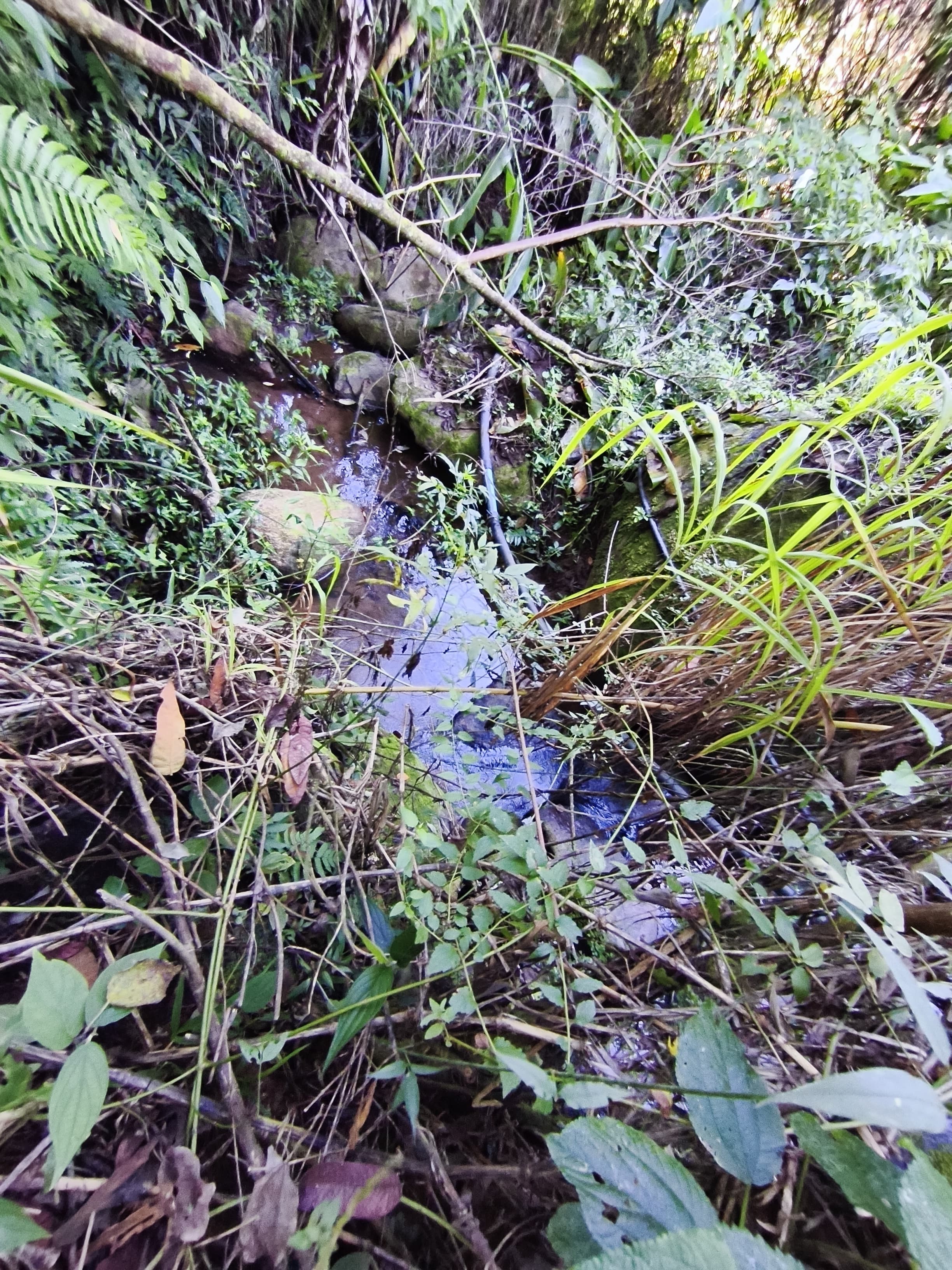 🌿🏡 CHÁCARA À VENDA EM TOLEDO – MG 🏡🌿🌳 Área total de 5.300 m²