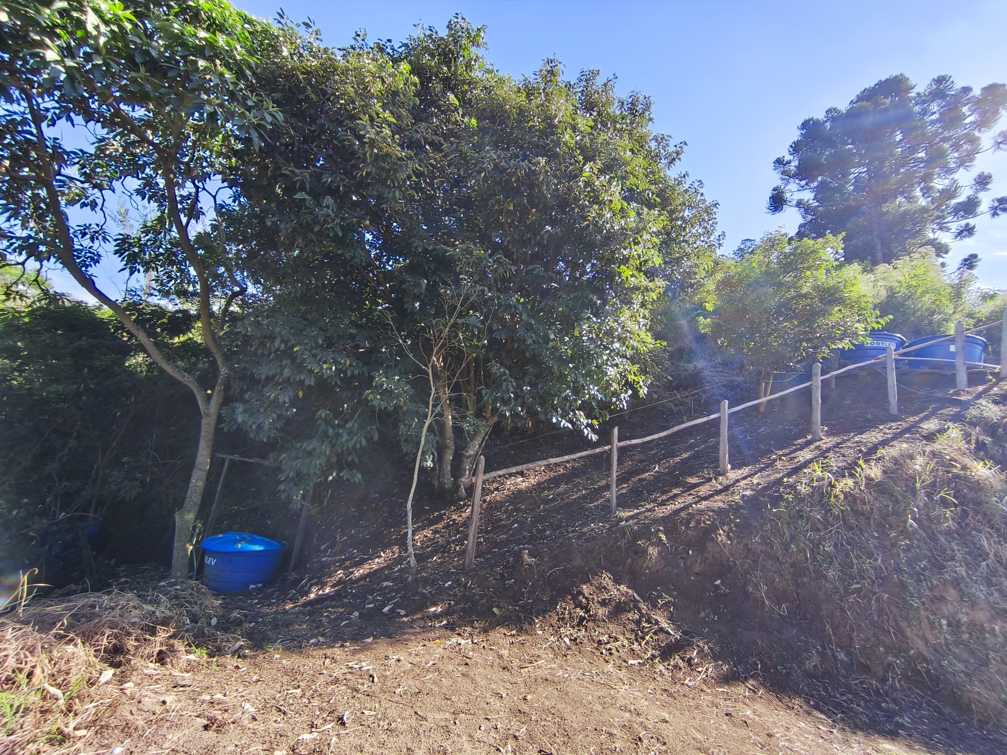 🌿🏡 CHÁCARA À VENDA EM TOLEDO – MG 🏡🌿🌳 Área total de 5.300 m²