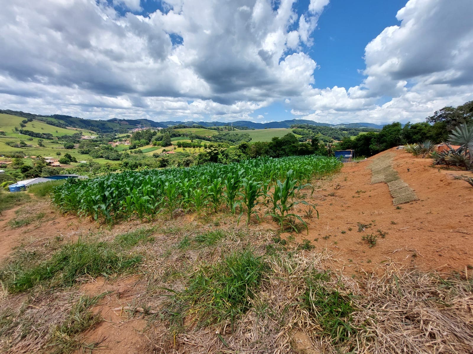🌳🏡 EXCELENTE SÍTIO À VENDA – PORTEIRA FECHADA – TOLEDO/MG 🏡🌳