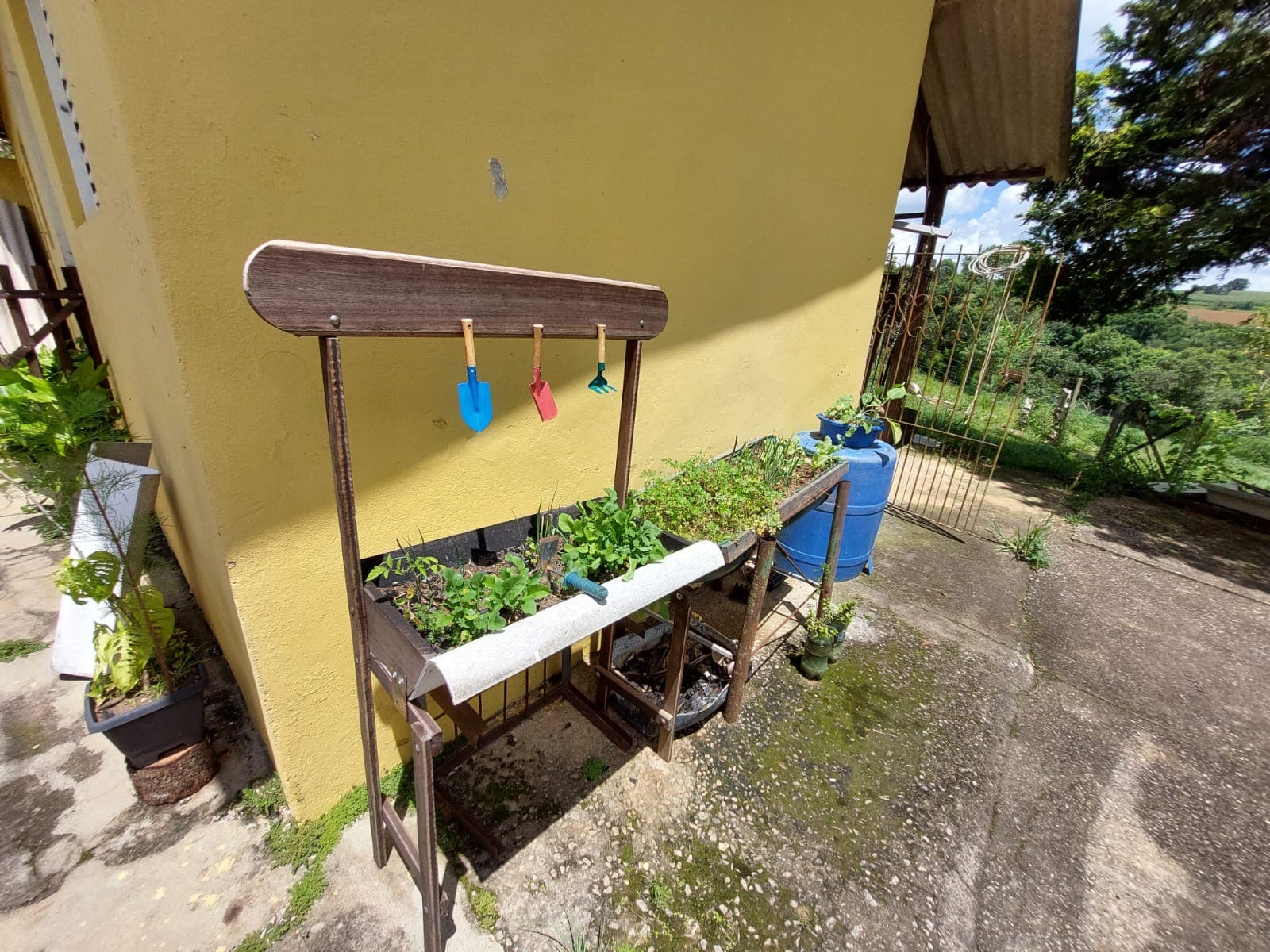 🌳🏡 EXCELENTE SÍTIO À VENDA – PORTEIRA FECHADA – TOLEDO/MG 🏡🌳