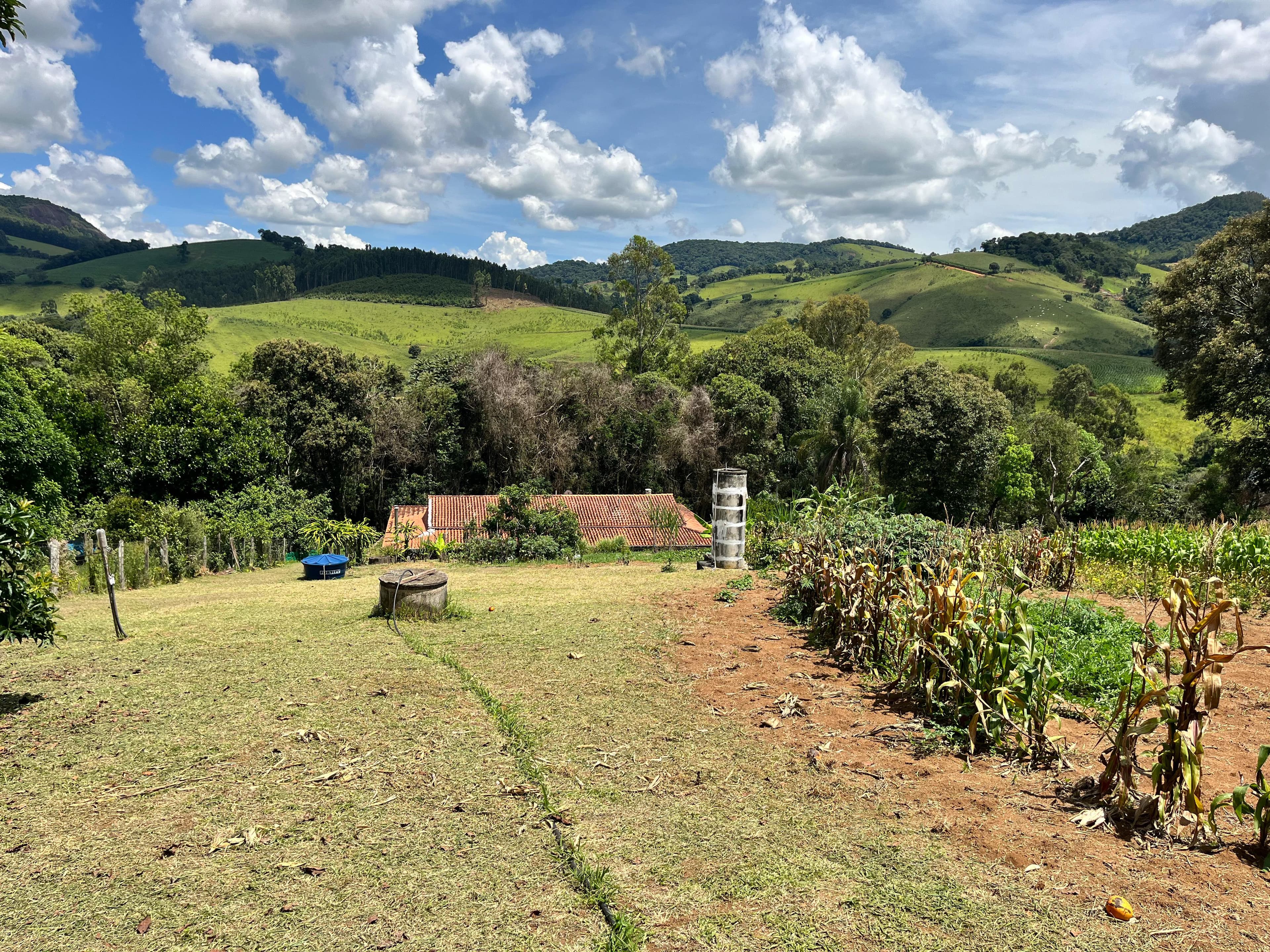 🌿🏡 CHÁCARA COM ESCRITURA À VENDA EM Toledo – MG ✔ Área total de 6.000 m² ✔ Escritura