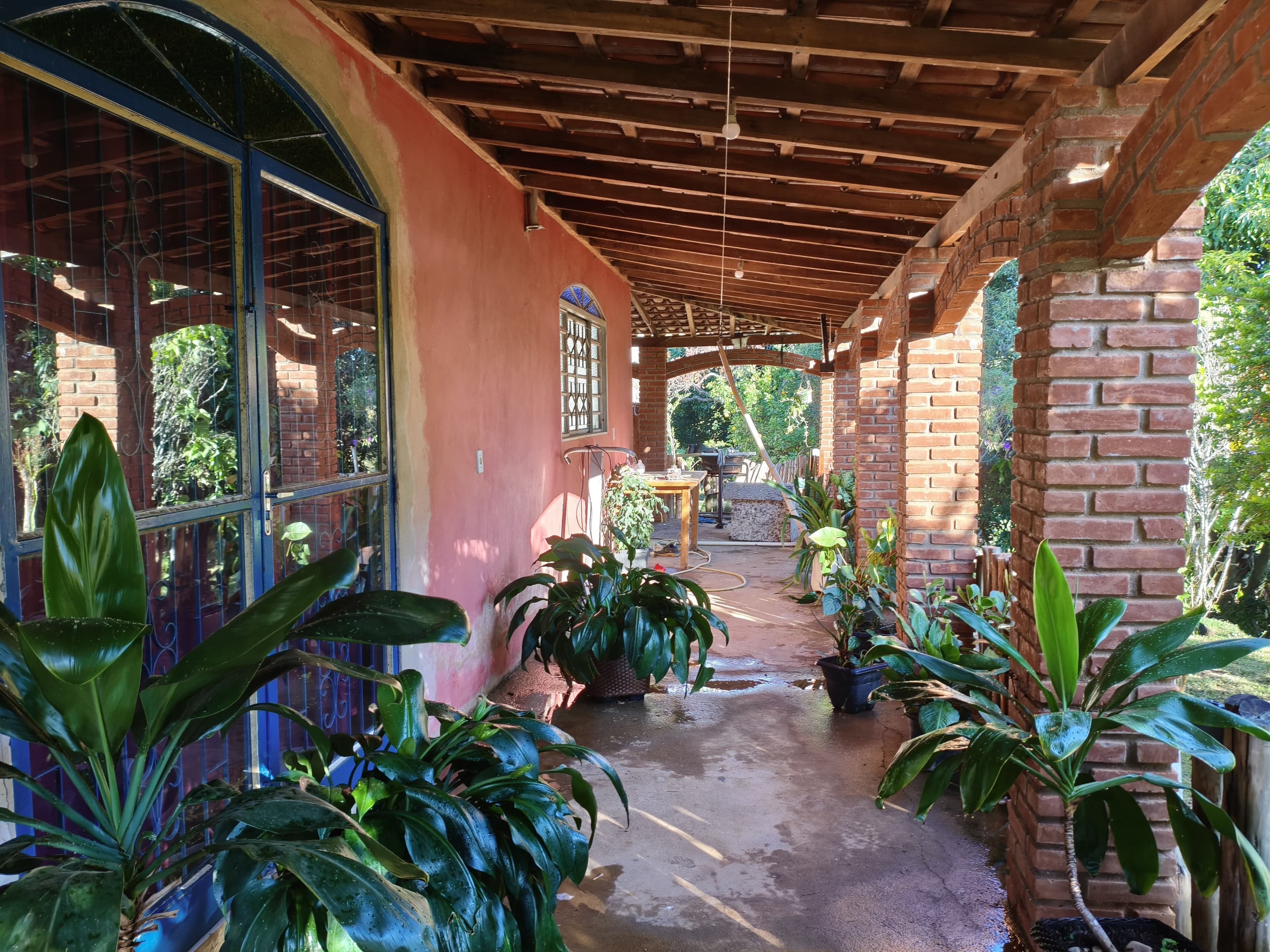 🌿 Chácara à venda em Munhoz-MG