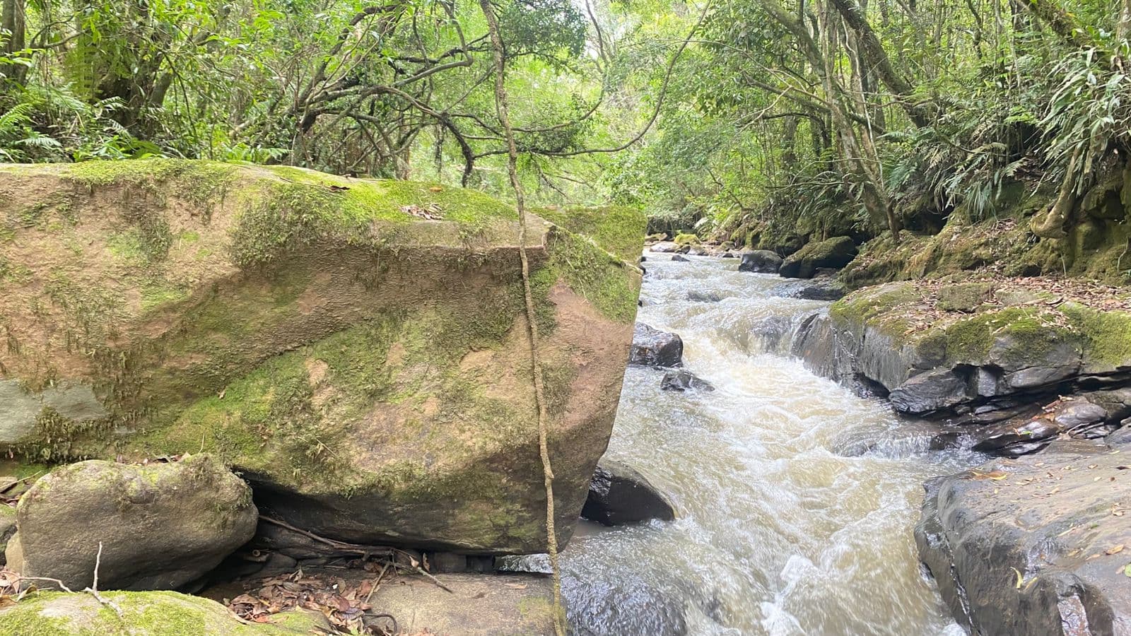 ✨ Terrenos 20 mil mts exclusivos em meio à natureza, perfeitos para quem busca tranquilidade, privacidade e qualidade de vida.