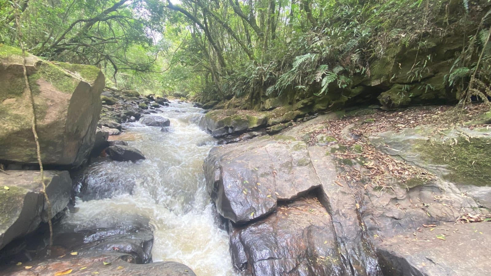 ✨ Terrenos 20 mil mts exclusivos em meio à natureza, perfeitos para quem busca tranquilidade, privacidade e qualidade de vida.