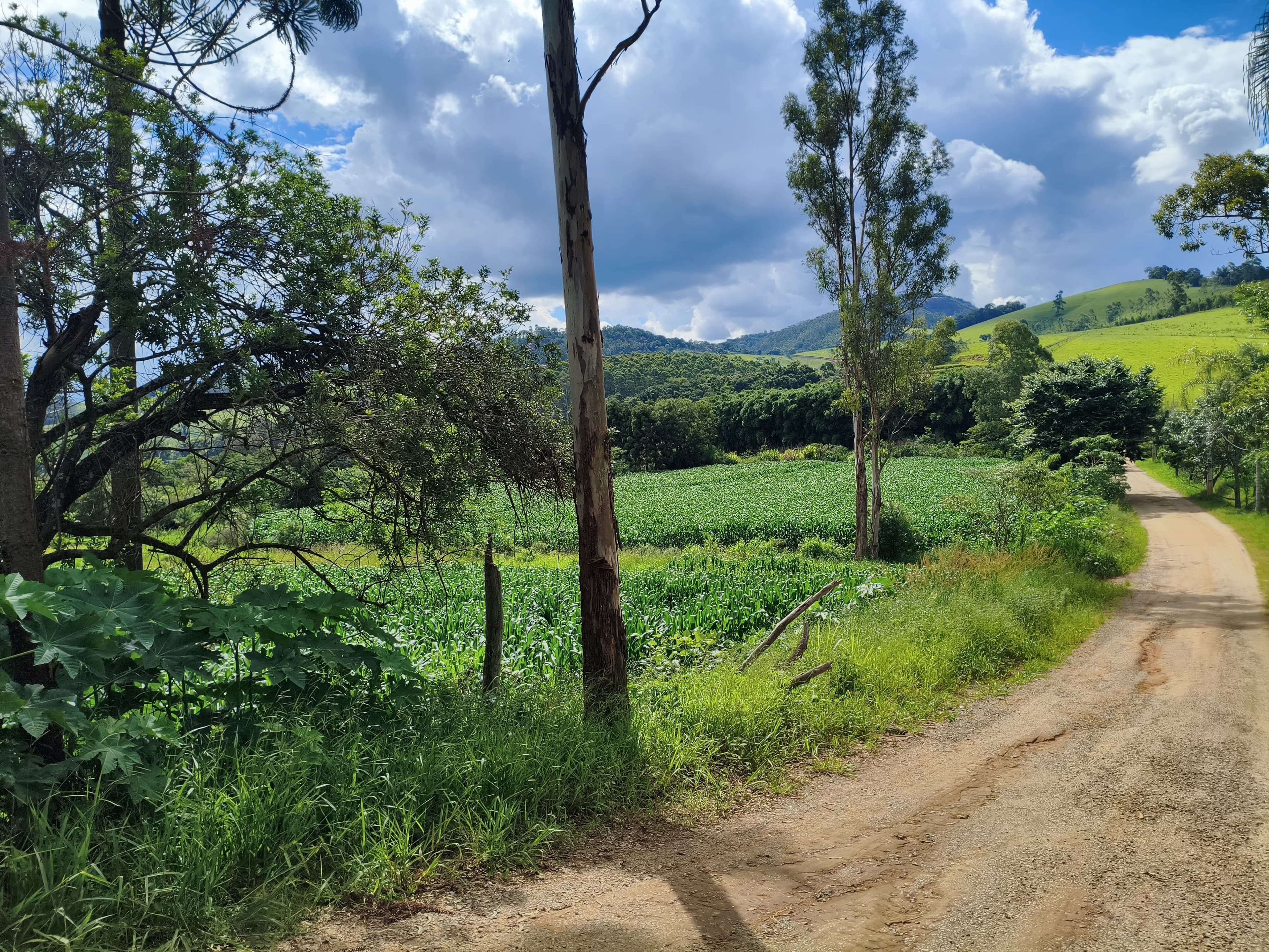🏞️ TERRENO À VENDA EM Toledo – MG 🏞️