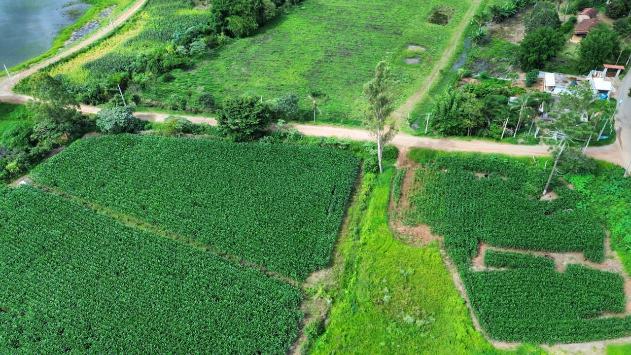 🏞️ TERRENO À VENDA EM Toledo – MG 🏞️