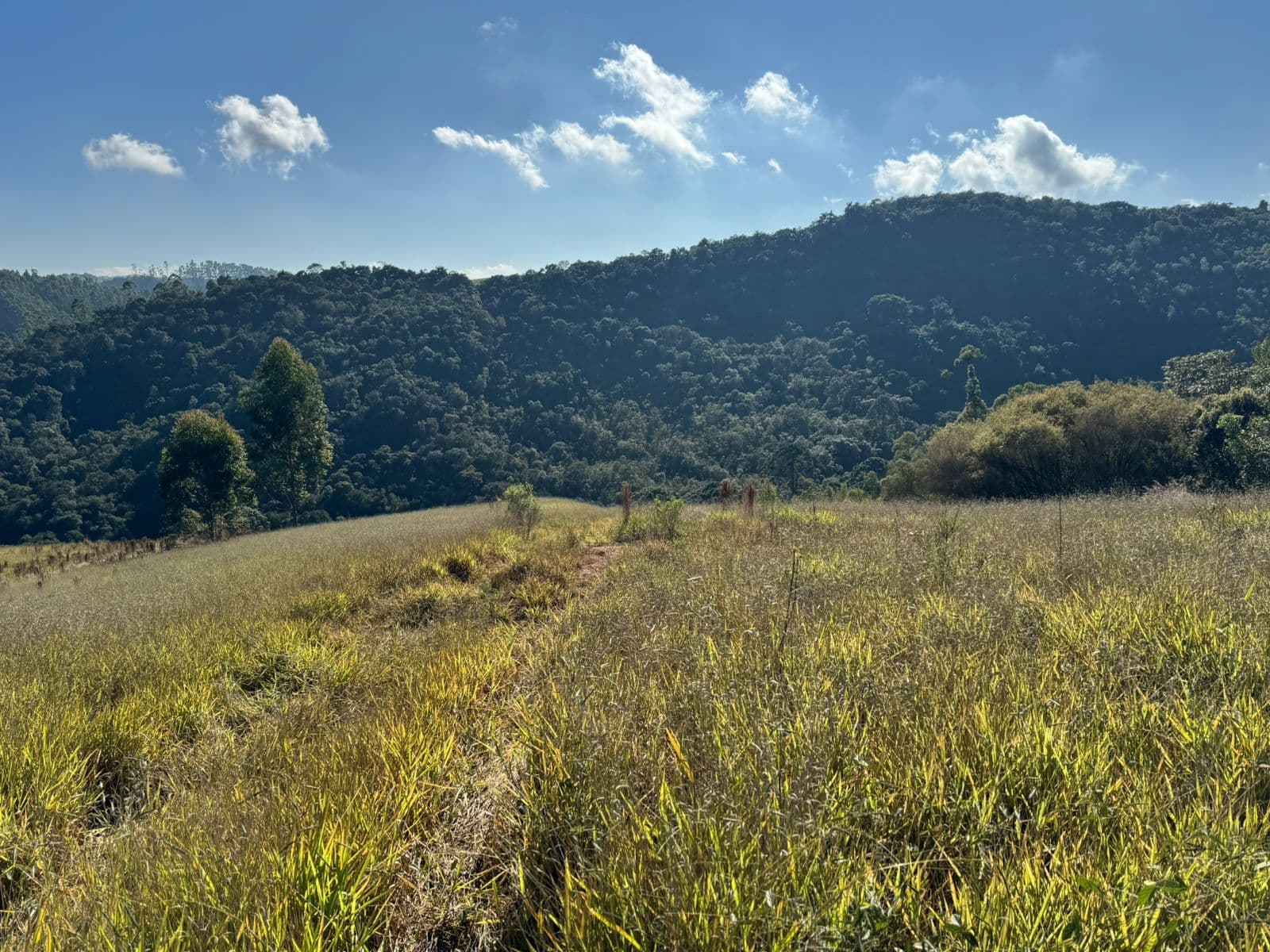 🌲✨ LANÇAMENTO – QUINTA DOS PINHAIS ✨🌲 🌿 Terrenos à venda de 20 mil mts em meio à natureza – perfeito para seu refúgio de fim de semana! 🏡
