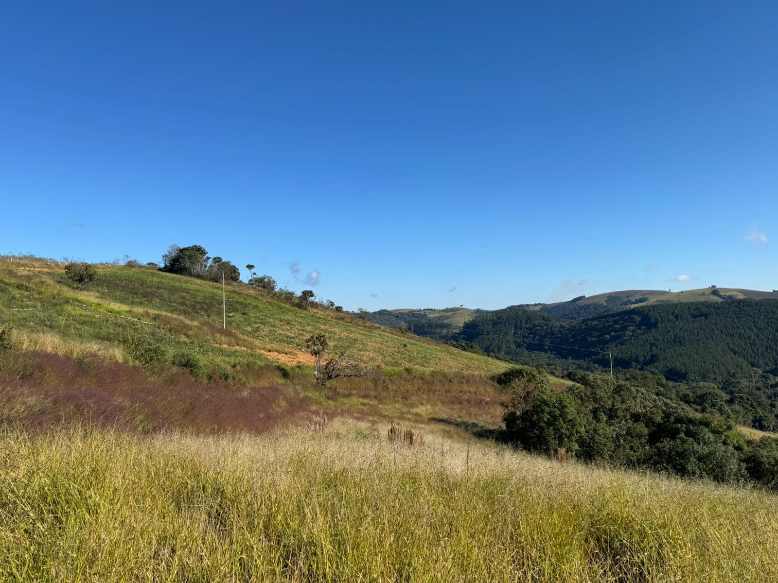 🌲✨ LANÇAMENTO – QUINTA DOS PINHAIS ✨🌲 🌿 Terrenos à venda de 20 mil mts em meio à natureza – perfeito para seu refúgio de fim de semana! 🏡