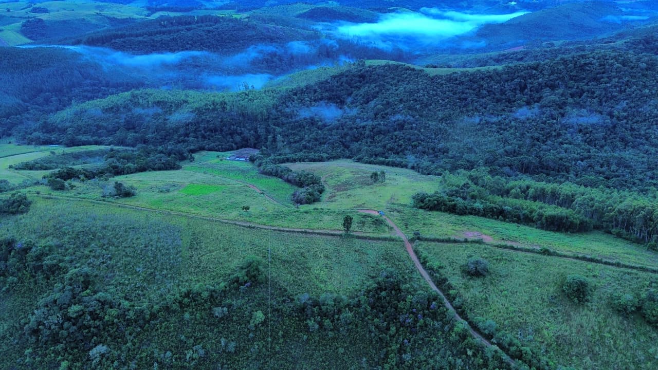 🌲✨ LANÇAMENTO – QUINTA DOS PINHAIS ✨🌲 🌿 Terrenos à venda de 20 mil mts em meio à natureza – perfeito para seu refúgio de fim de semana! 🏡