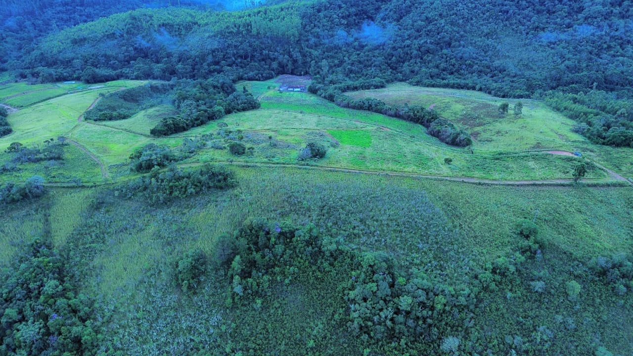 🌲✨ LANÇAMENTO – QUINTA DOS PINHAIS ✨🌲 🌿 Terrenos à venda de 20 mil mts em meio à natureza – perfeito para seu refúgio de fim de semana! 🏡