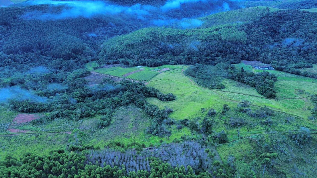 🌲✨ LANÇAMENTO – QUINTA DOS PINHAIS ✨🌲 🌿 Terrenos à venda de 20 mil mts em meio à natureza – perfeito para seu refúgio de fim de semana! 🏡
