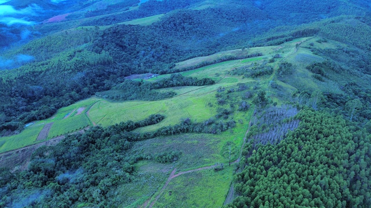 🌲✨ LANÇAMENTO – QUINTA DOS PINHAIS ✨🌲 🌿 Terrenos à venda de 20 mil mts em meio à natureza – perfeito para seu refúgio de fim de semana! 🏡