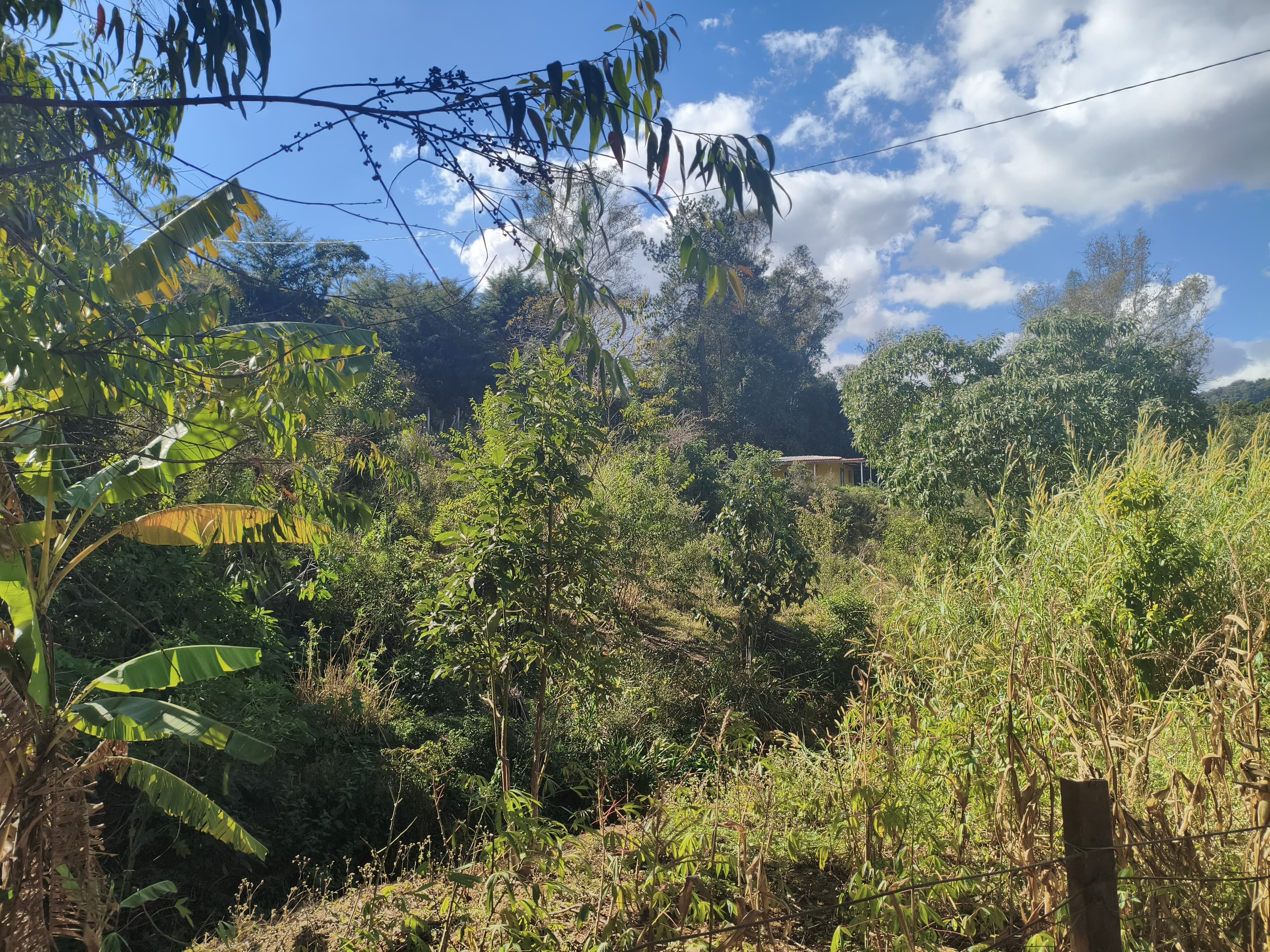Chácara a venda