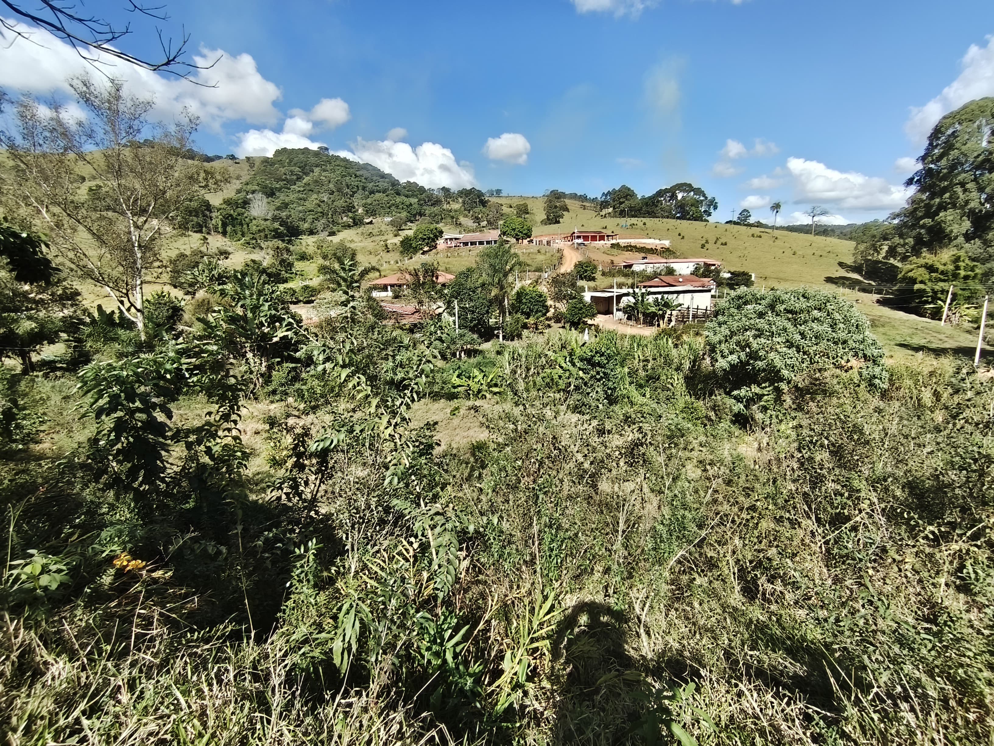 Chácara a venda
