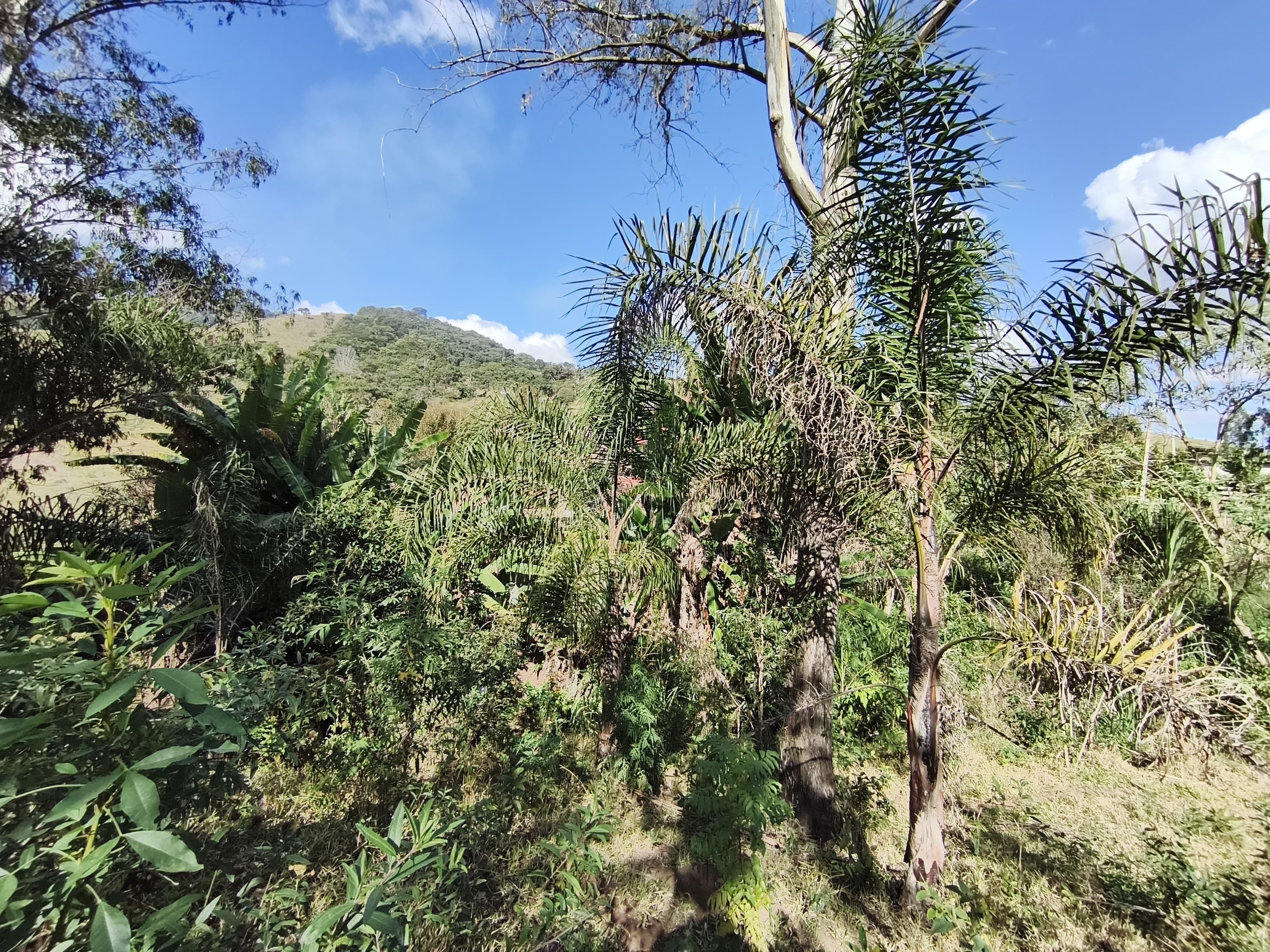 Chácara a venda