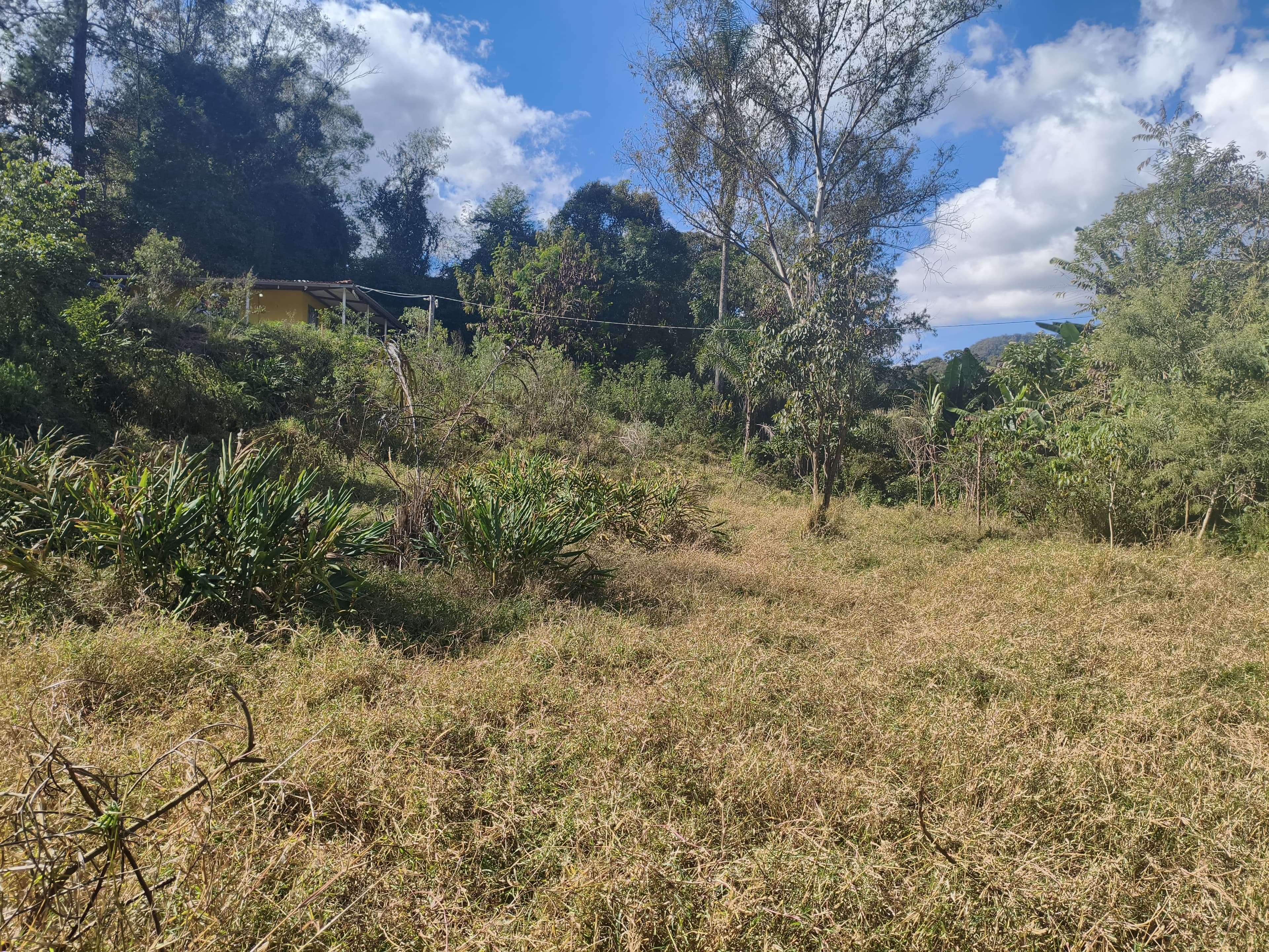 Chácara a venda
