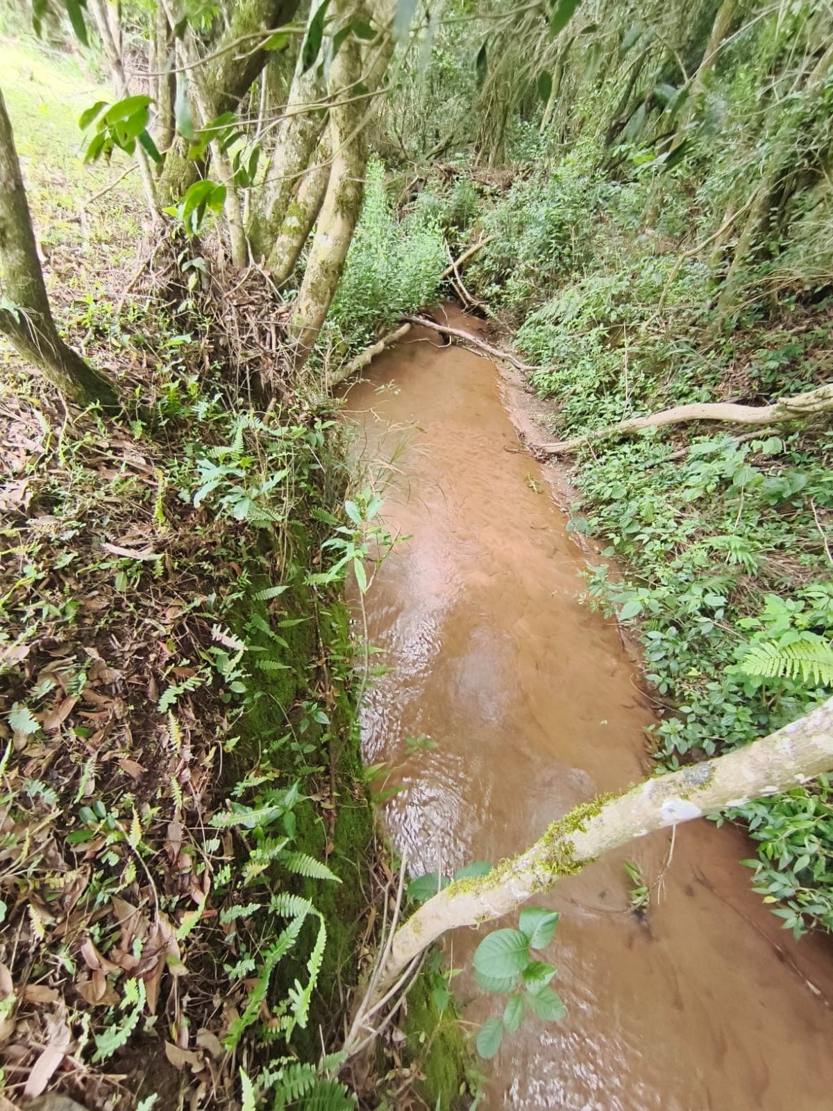 CHÁCARA À VENDA – MUNHOZ/MG 1000 mts