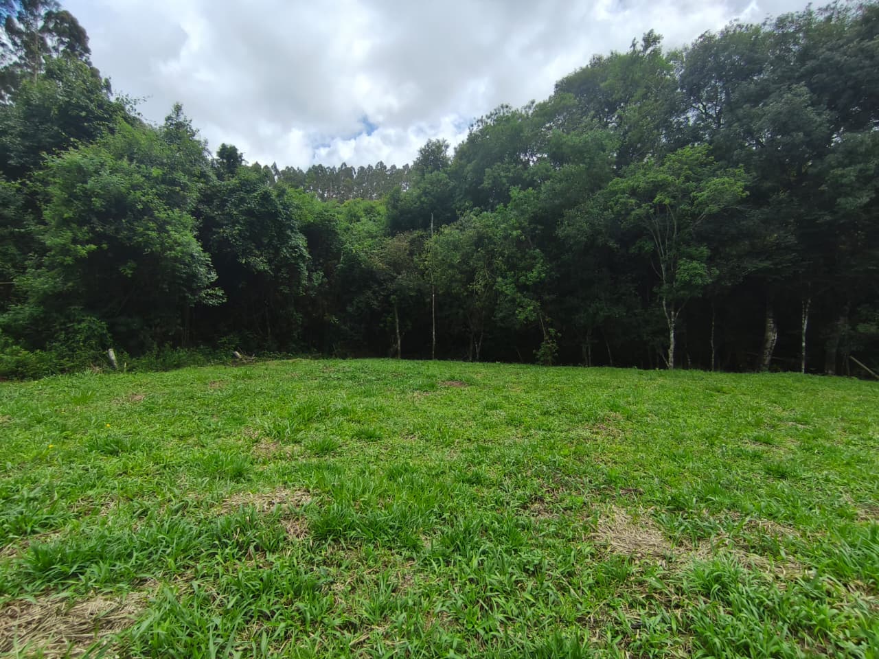 CHÁCARA À VENDA – MUNHOZ/MG 1000 mts