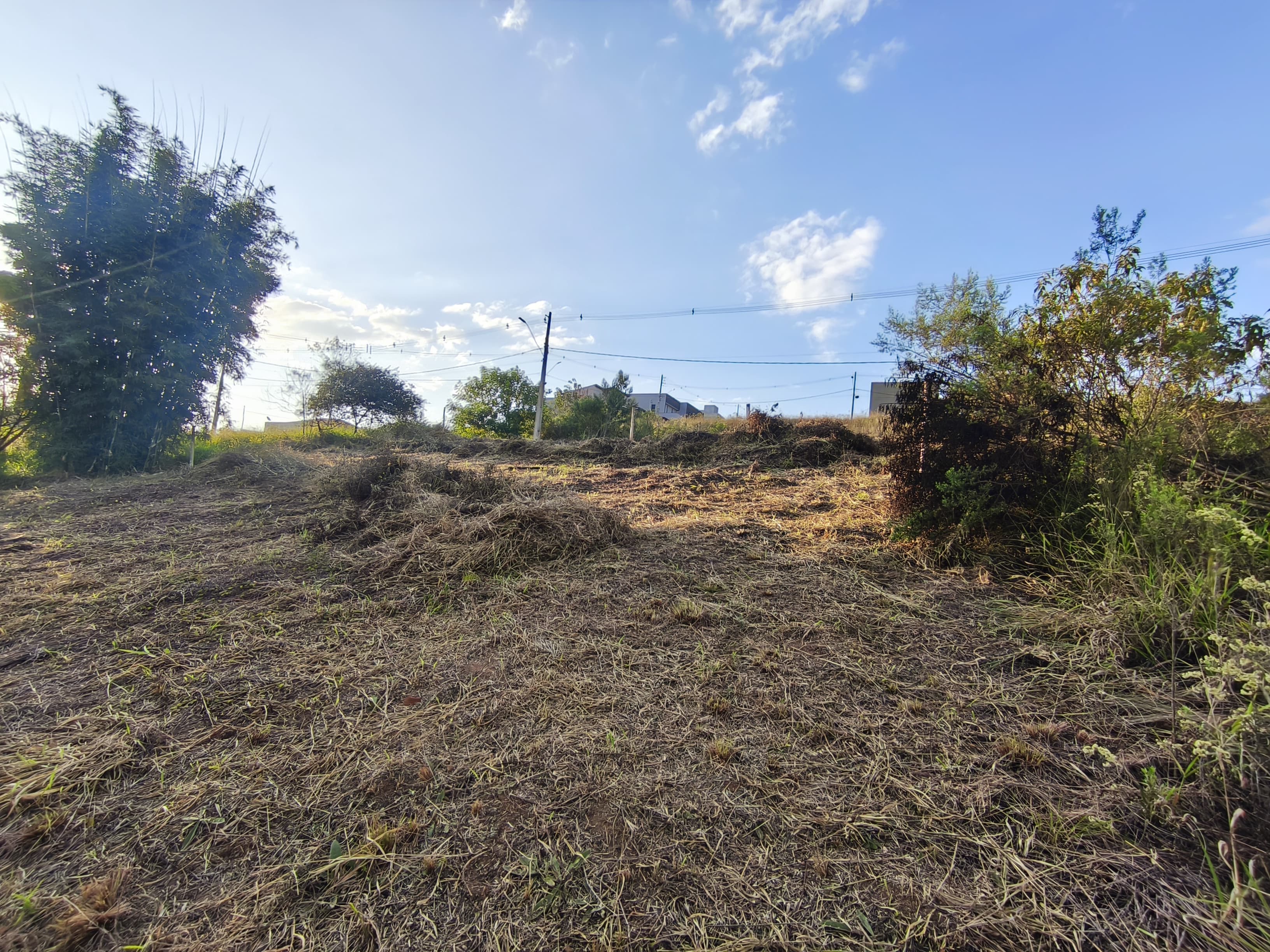 LOTES À VENDA – GEOVILLE | TOLEDO/MG