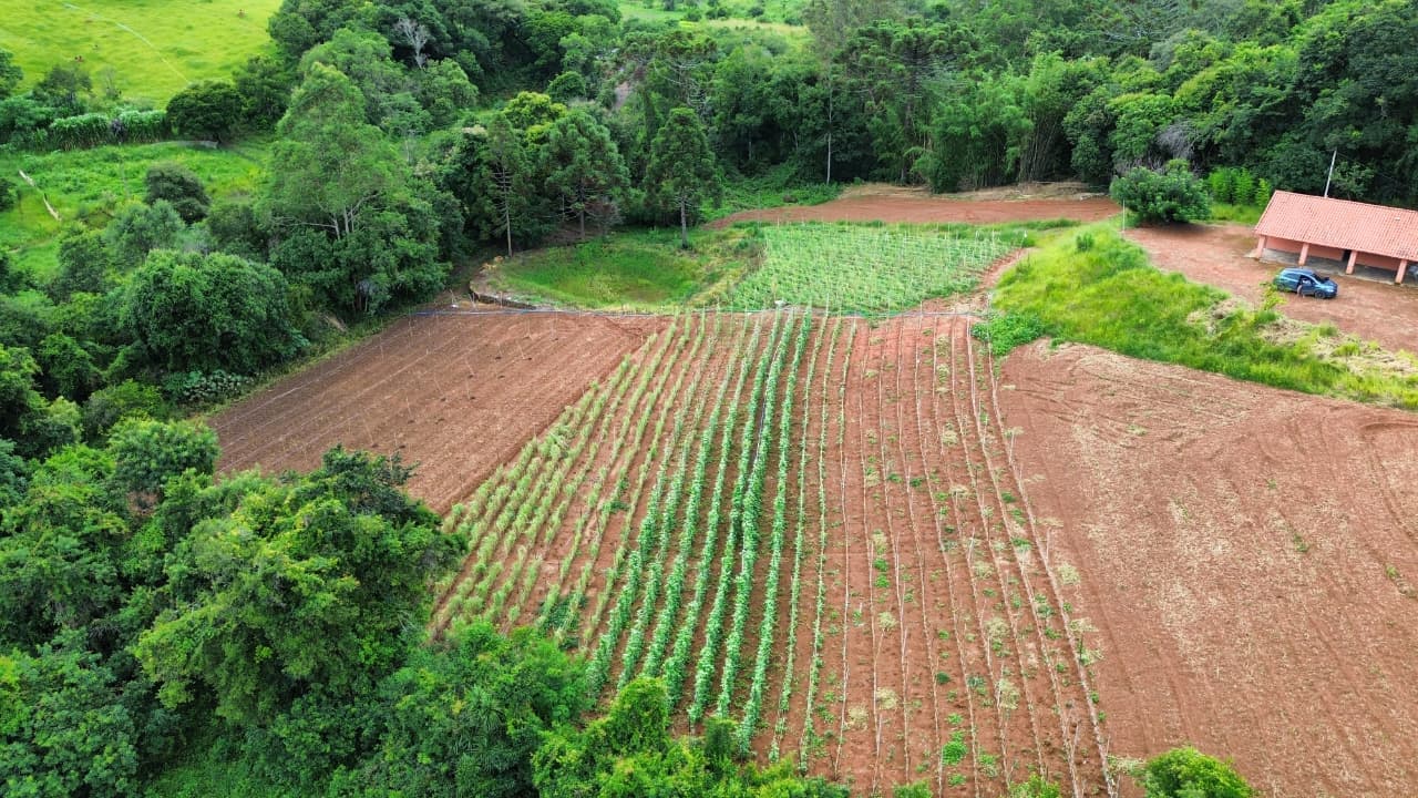 🌿 CHÁCARA ESCRITURADA À VENDA – MATRÍCULA INDIVIDUAL 🌿