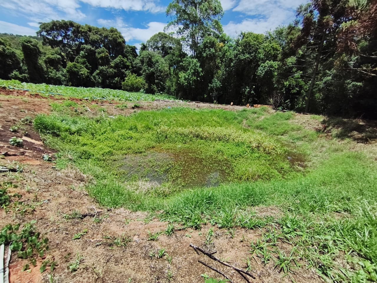 🌿 CHÁCARA ESCRITURADA À VENDA – MATRÍCULA INDIVIDUAL 🌿
