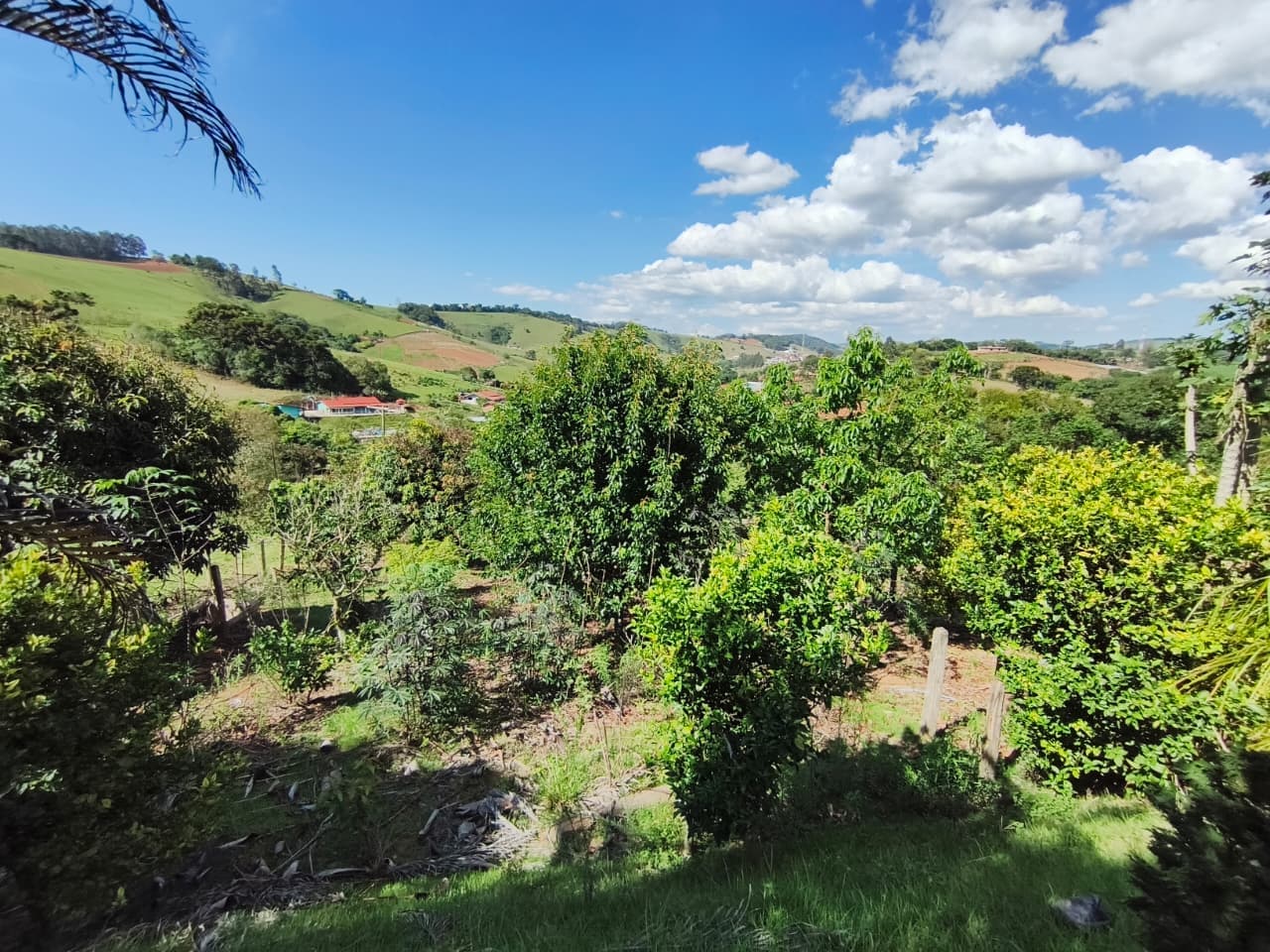 Chácara com escritura, com 11.000 m²