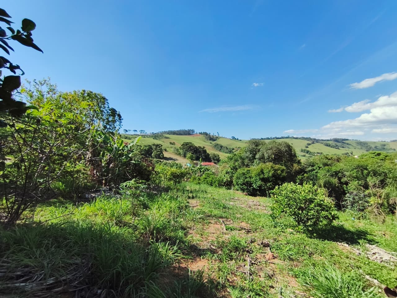 Chácara com escritura, com 11.000 m²