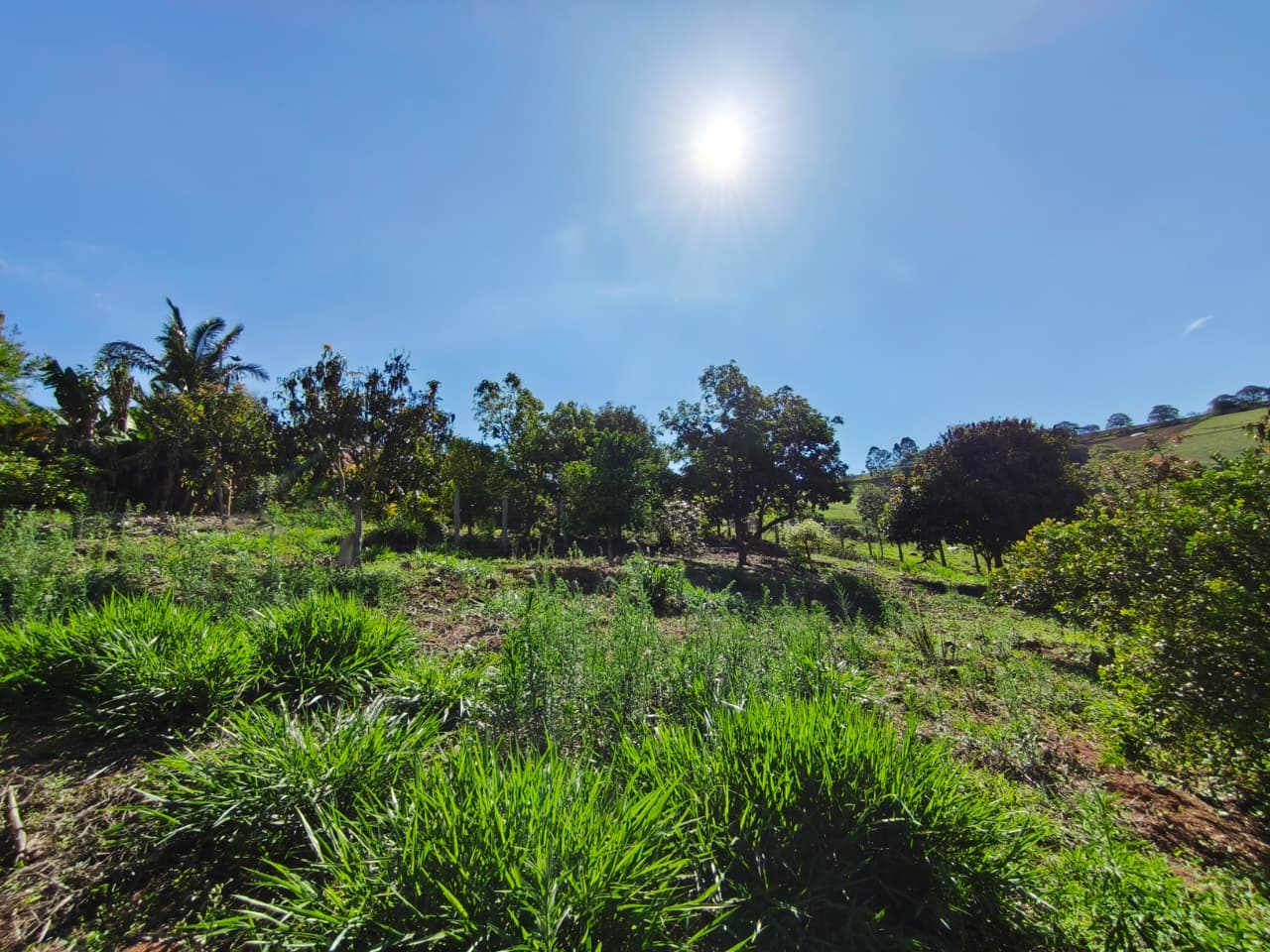 Chácara com escritura, com 11.000 m²