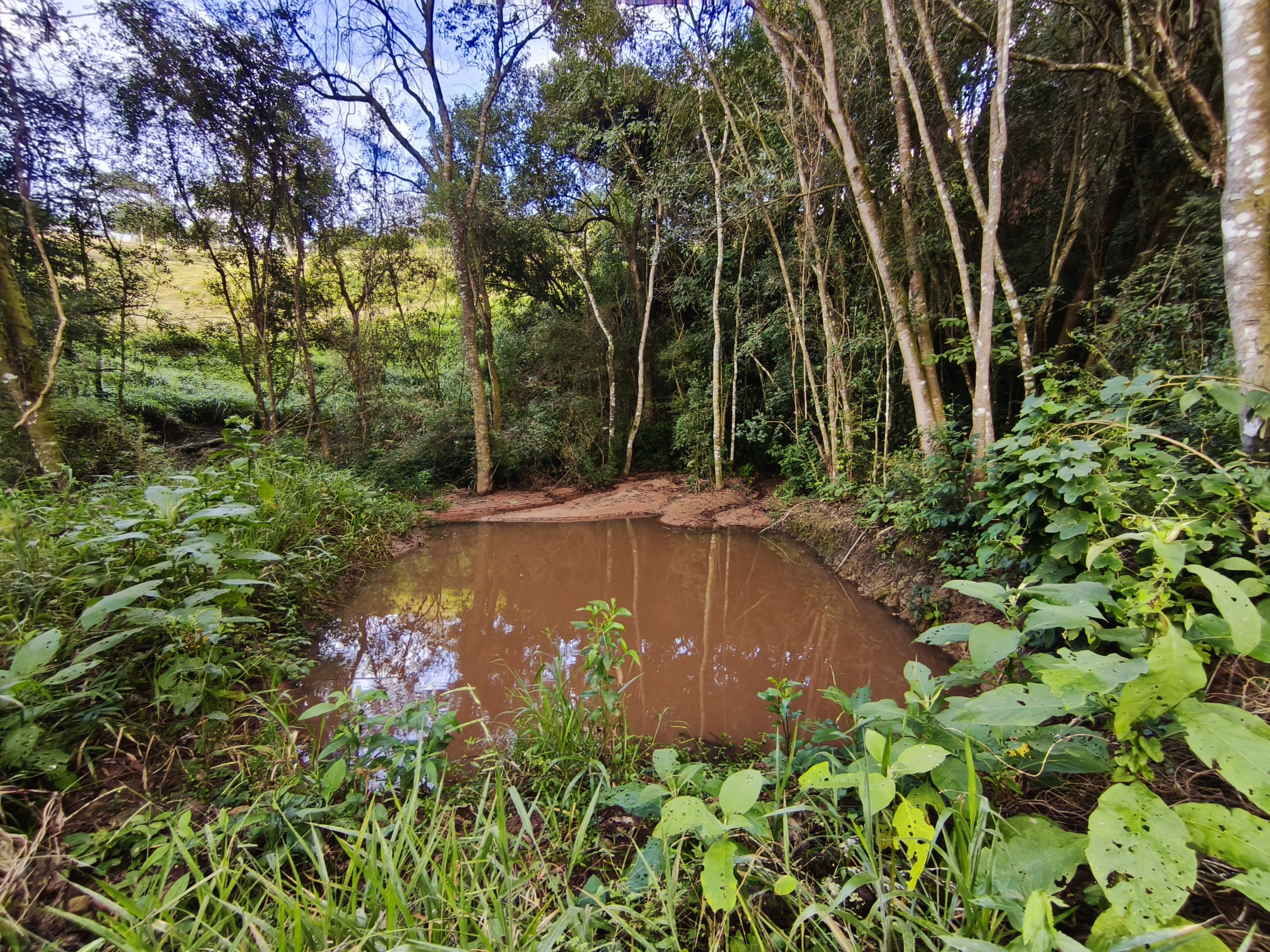 🌿 TERRENO À VENDA EM MUNHOZ – MG 🌿 📐 Área total de 22.000 m²