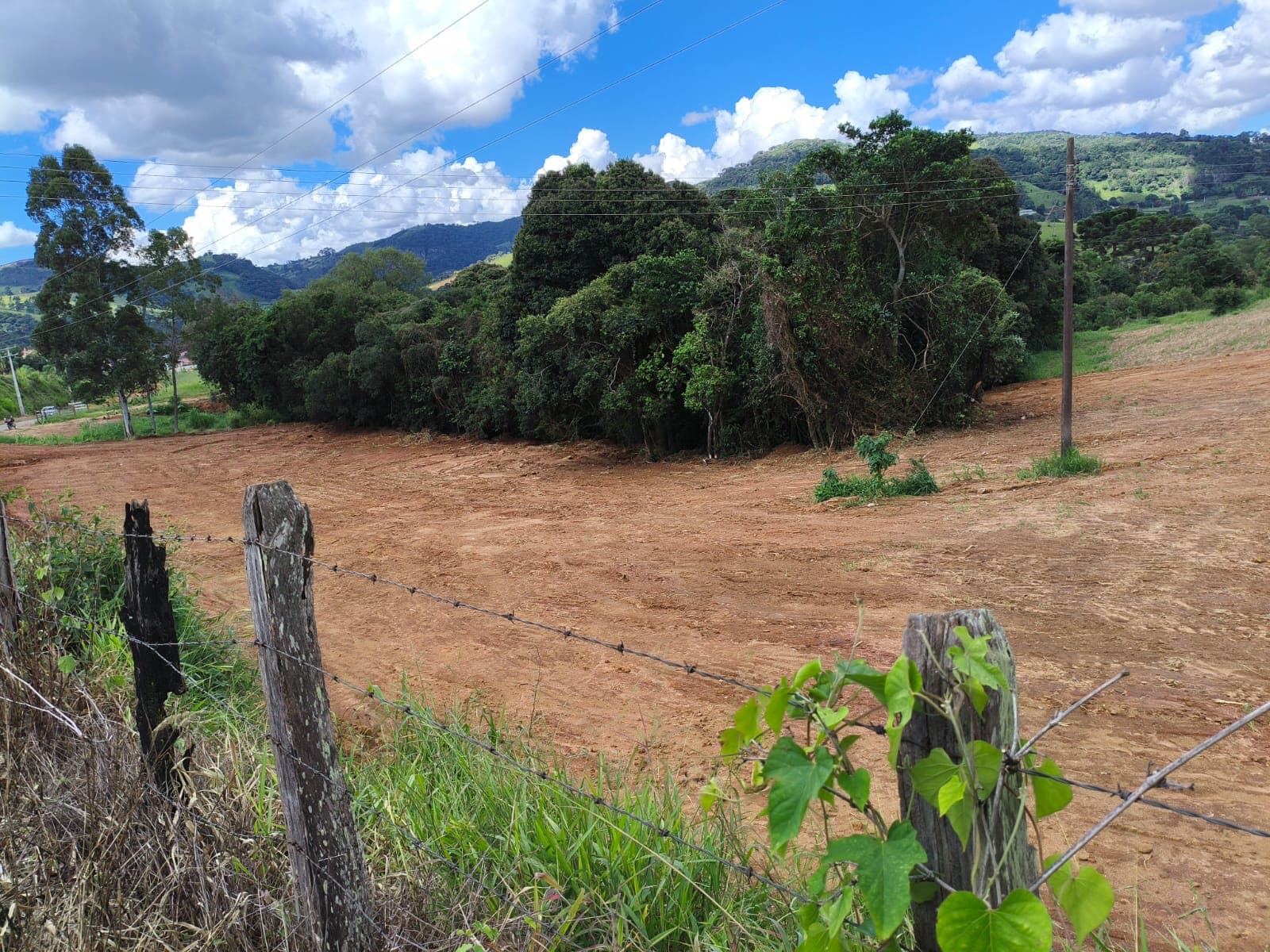 🏡 TERRENO À VENDA EM Munhoz 📐 Área total de 4.600 m² 📍 Localização privilegiada — apenas 300 metros do centro, na beira da rodovia