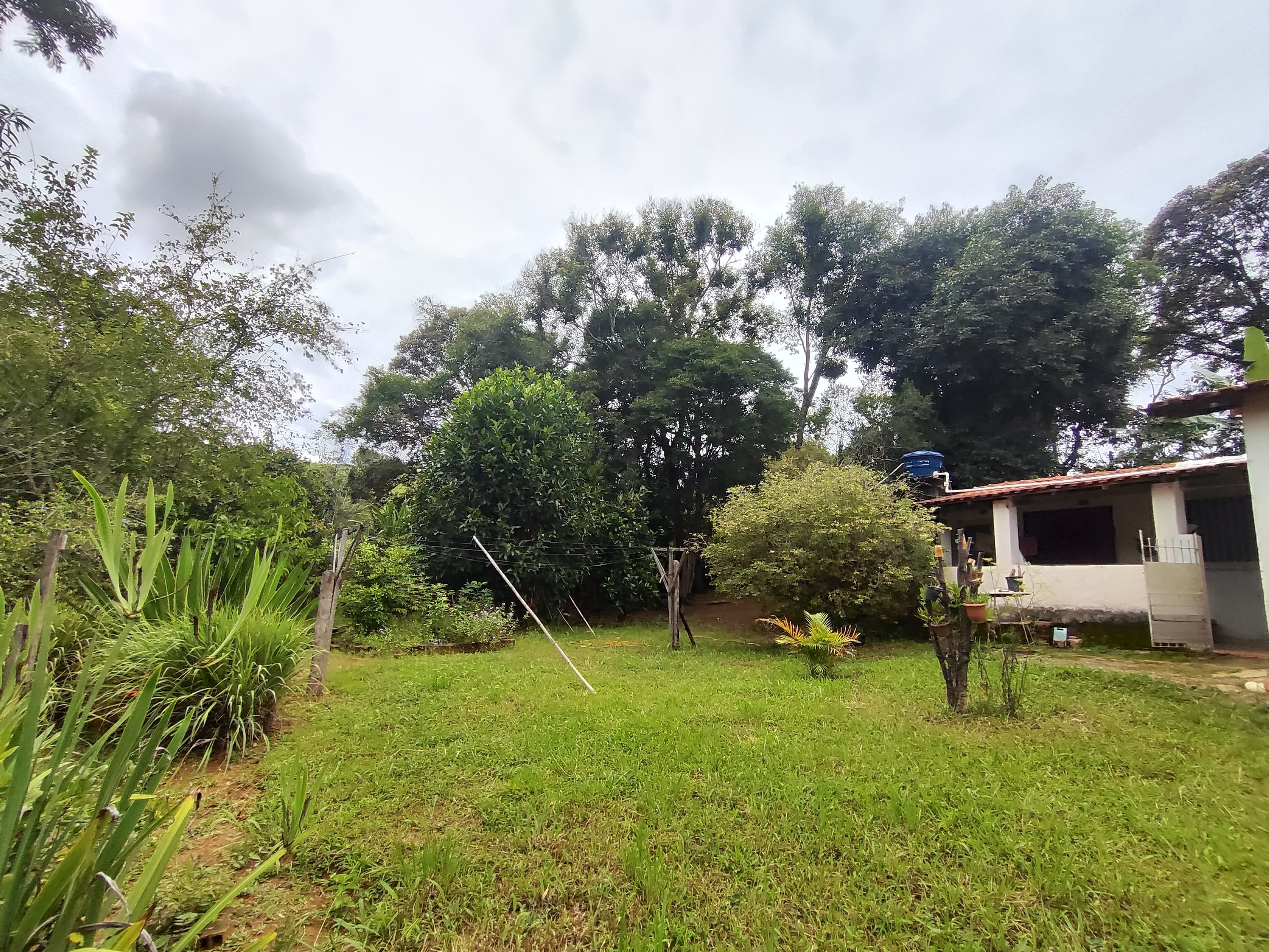 🌿🏡 CHÁCARA À VENDA EM Toledo – MG 🏡🌿
