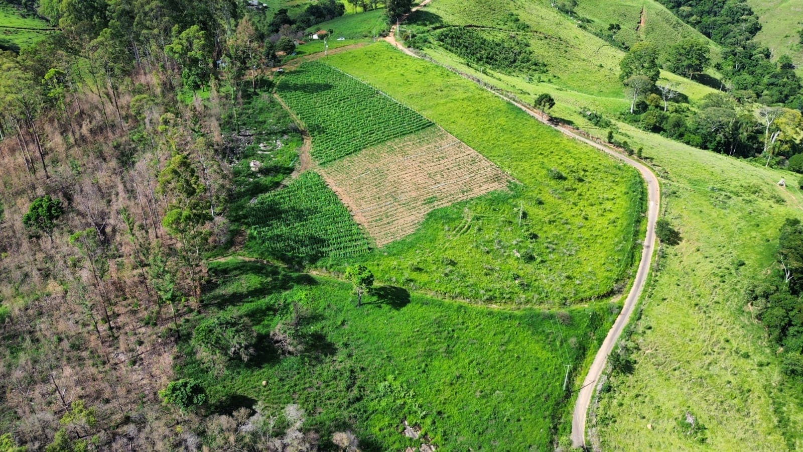 🌄 OPORTUNIDADE IMPERDÍVEL – TERRENO À VENDA EM TOLEDO/MG