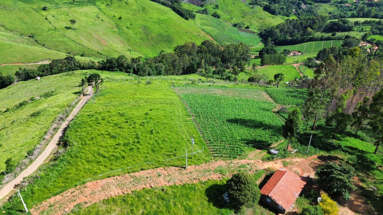 🌄 OPORTUNIDADE IMPERDÍVEL – TERRENO À VENDA EM TOLEDO/MG