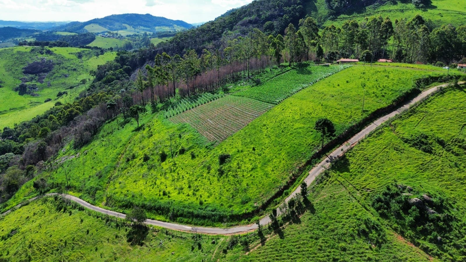 🌄 OPORTUNIDADE IMPERDÍVEL – TERRENO À VENDA EM TOLEDO/MG