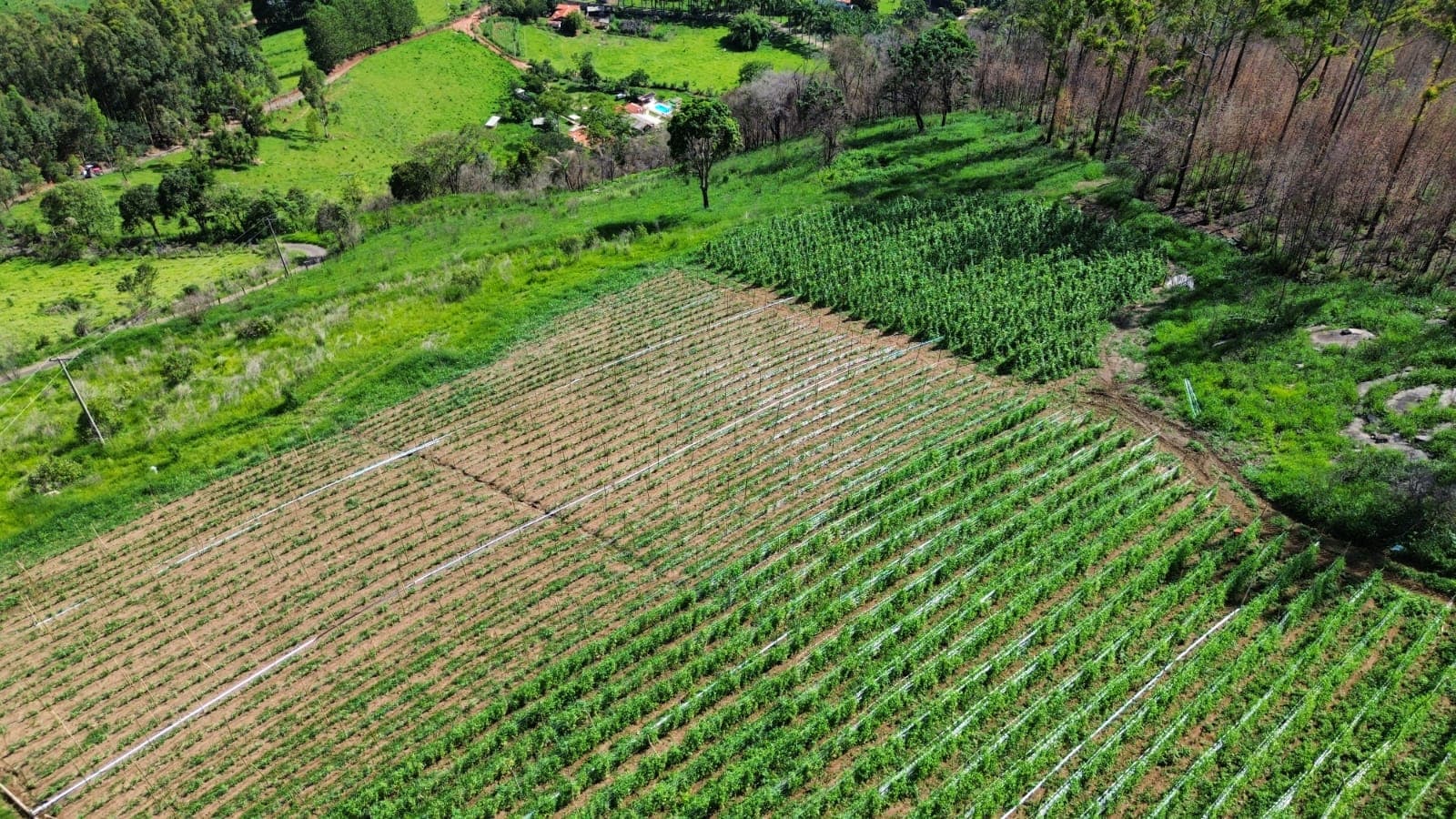 🌄 OPORTUNIDADE IMPERDÍVEL – TERRENO À VENDA EM TOLEDO/MG