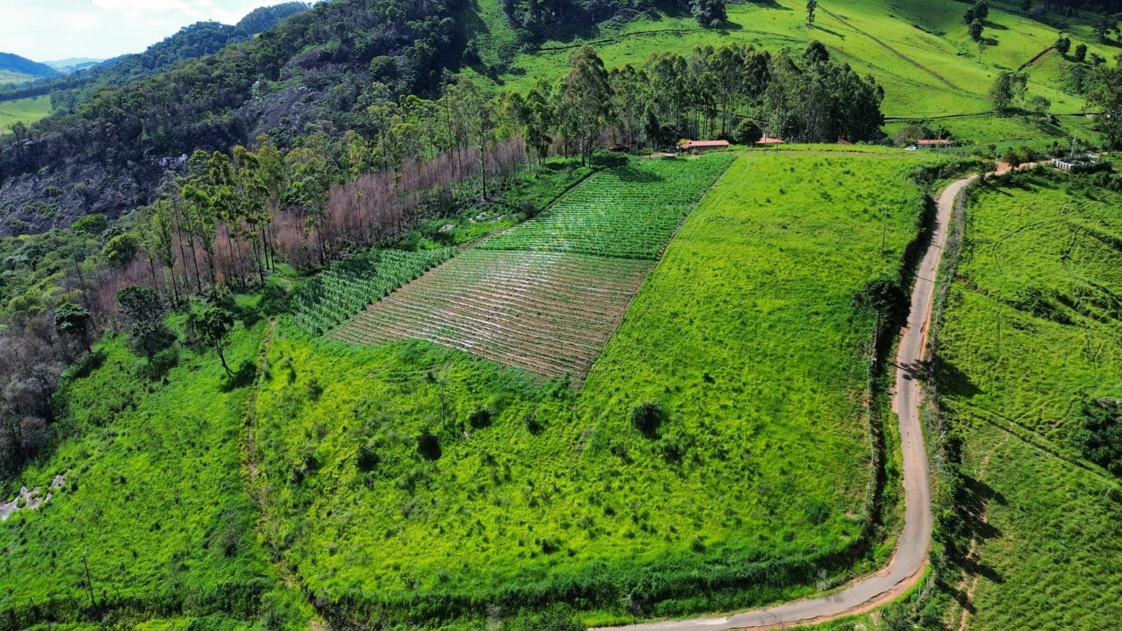 🌄 OPORTUNIDADE IMPERDÍVEL – TERRENO À VENDA EM TOLEDO/MG