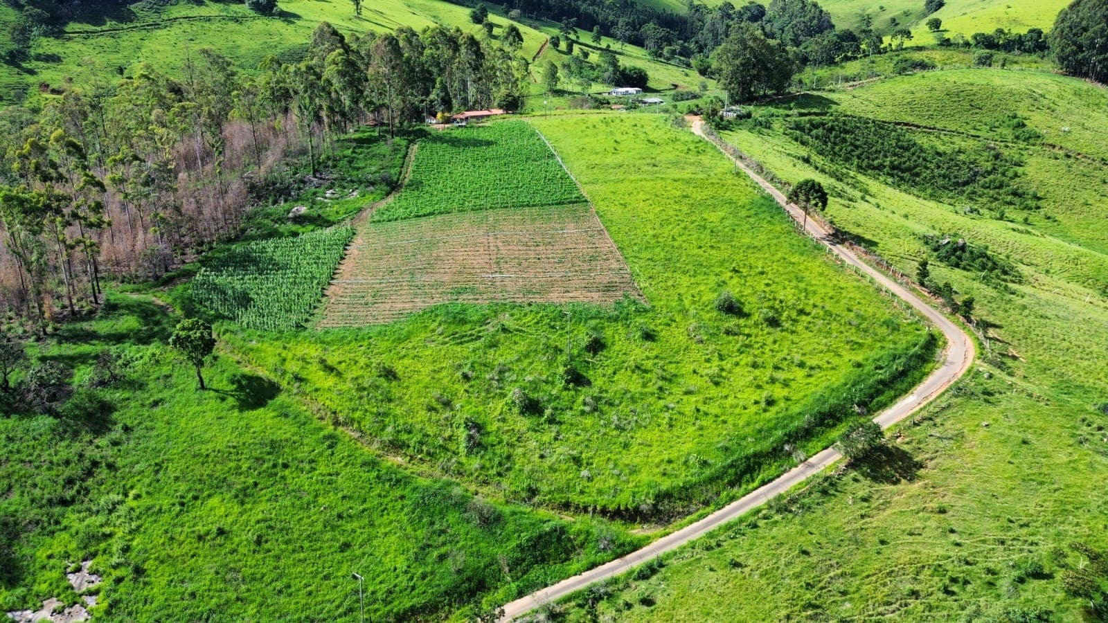 🌄 OPORTUNIDADE IMPERDÍVEL – TERRENO À VENDA EM TOLEDO/MG