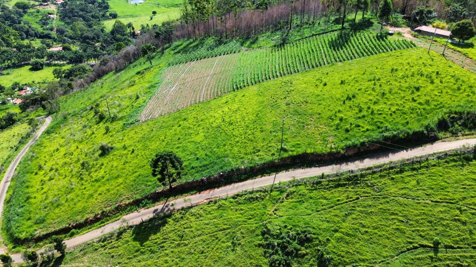 🌄 OPORTUNIDADE IMPERDÍVEL – TERRENO À VENDA EM TOLEDO/MG