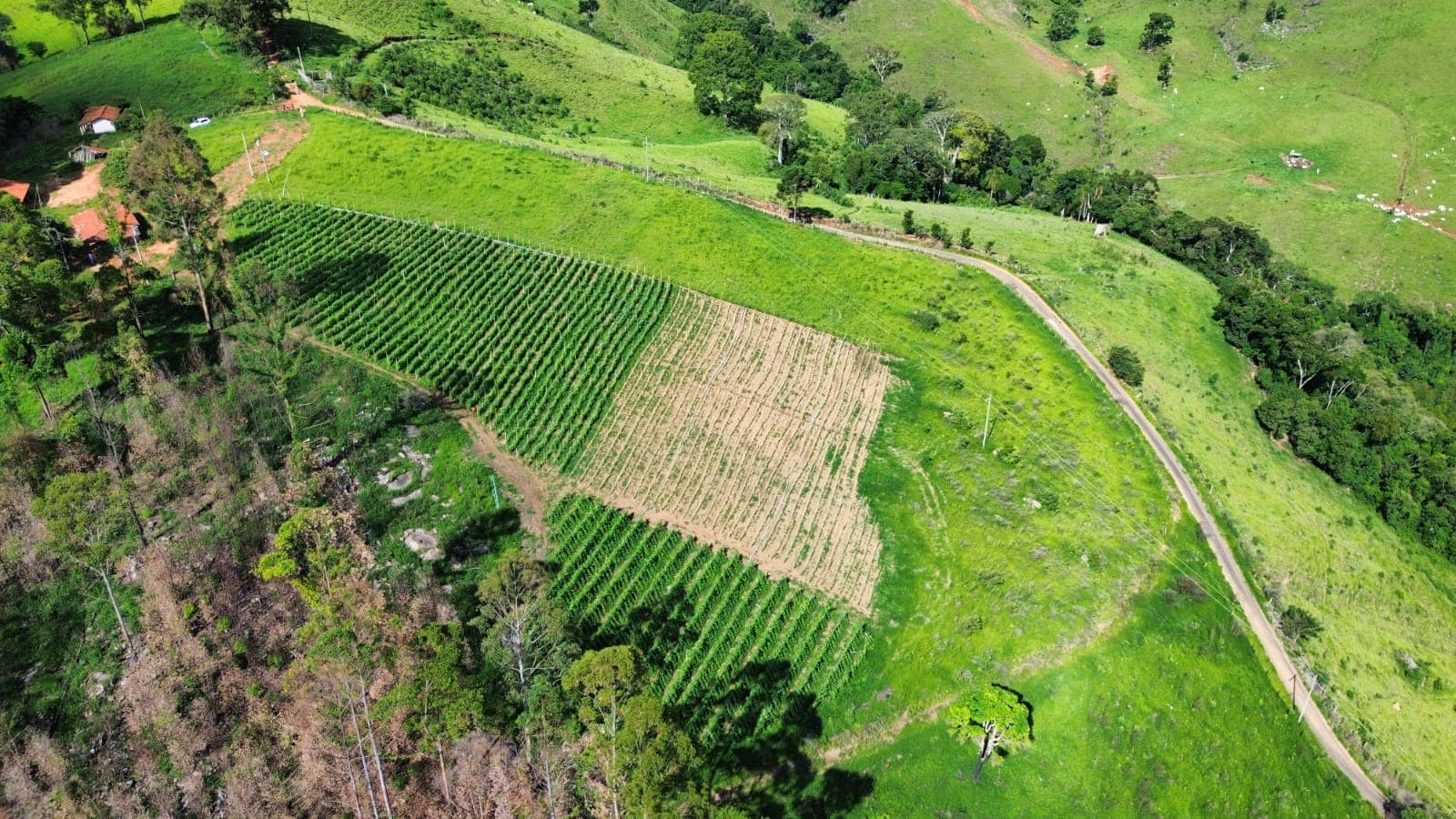 🌄 OPORTUNIDADE IMPERDÍVEL – TERRENO À VENDA EM TOLEDO/MG