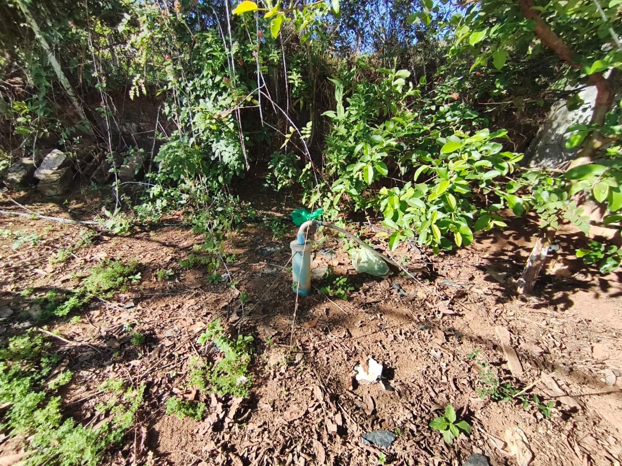 🌳 CHÁCARA À VENDA – OPORTUNIDADE! 🌳