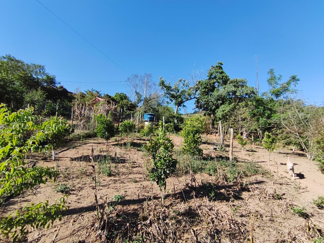 🌳 CHÁCARA À VENDA – OPORTUNIDADE! 🌳