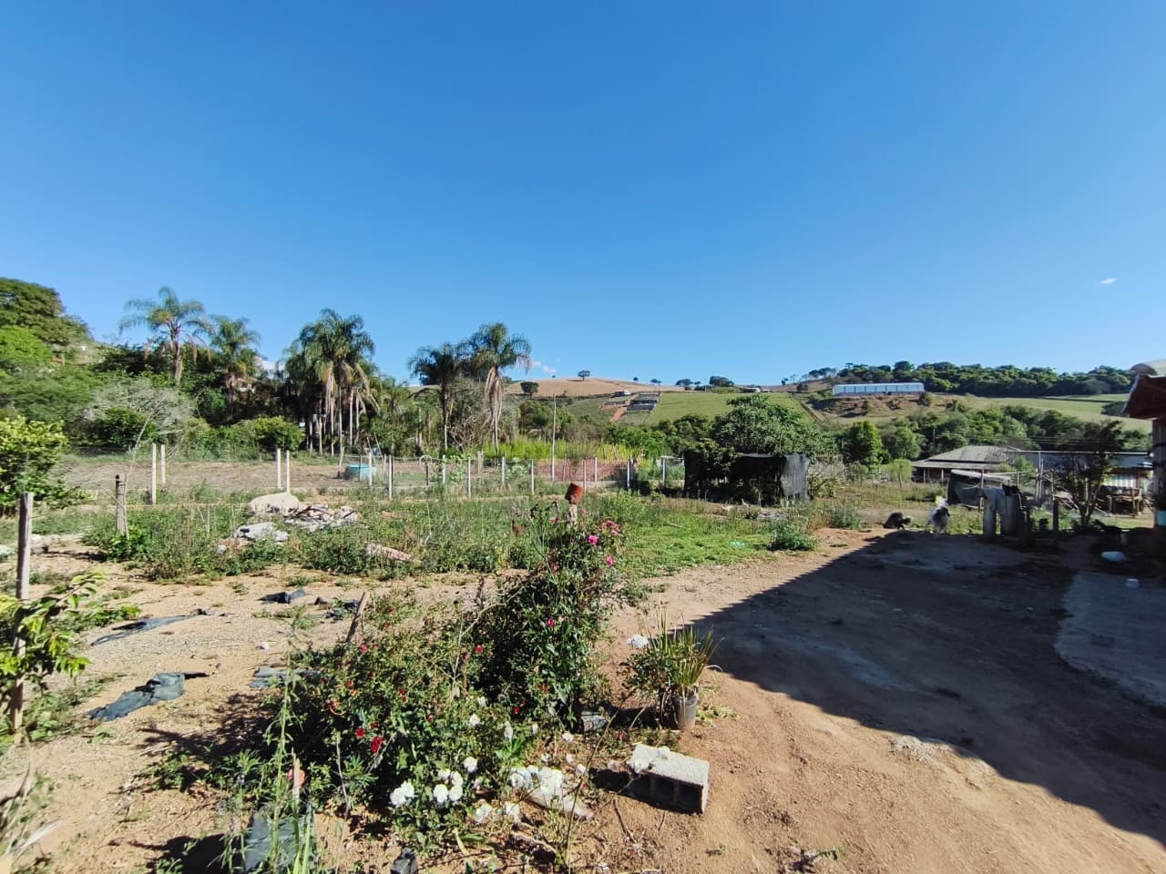 🌳 CHÁCARA À VENDA – OPORTUNIDADE! 🌳